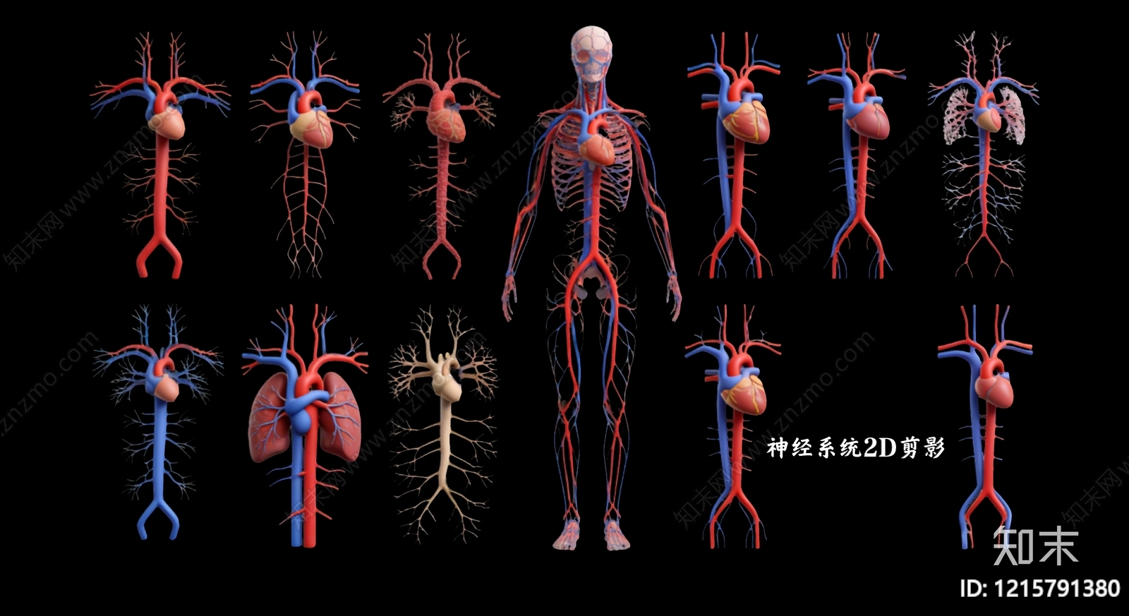 医学可视化风格虚拟人物SU模型下载【ID:1215791380】
