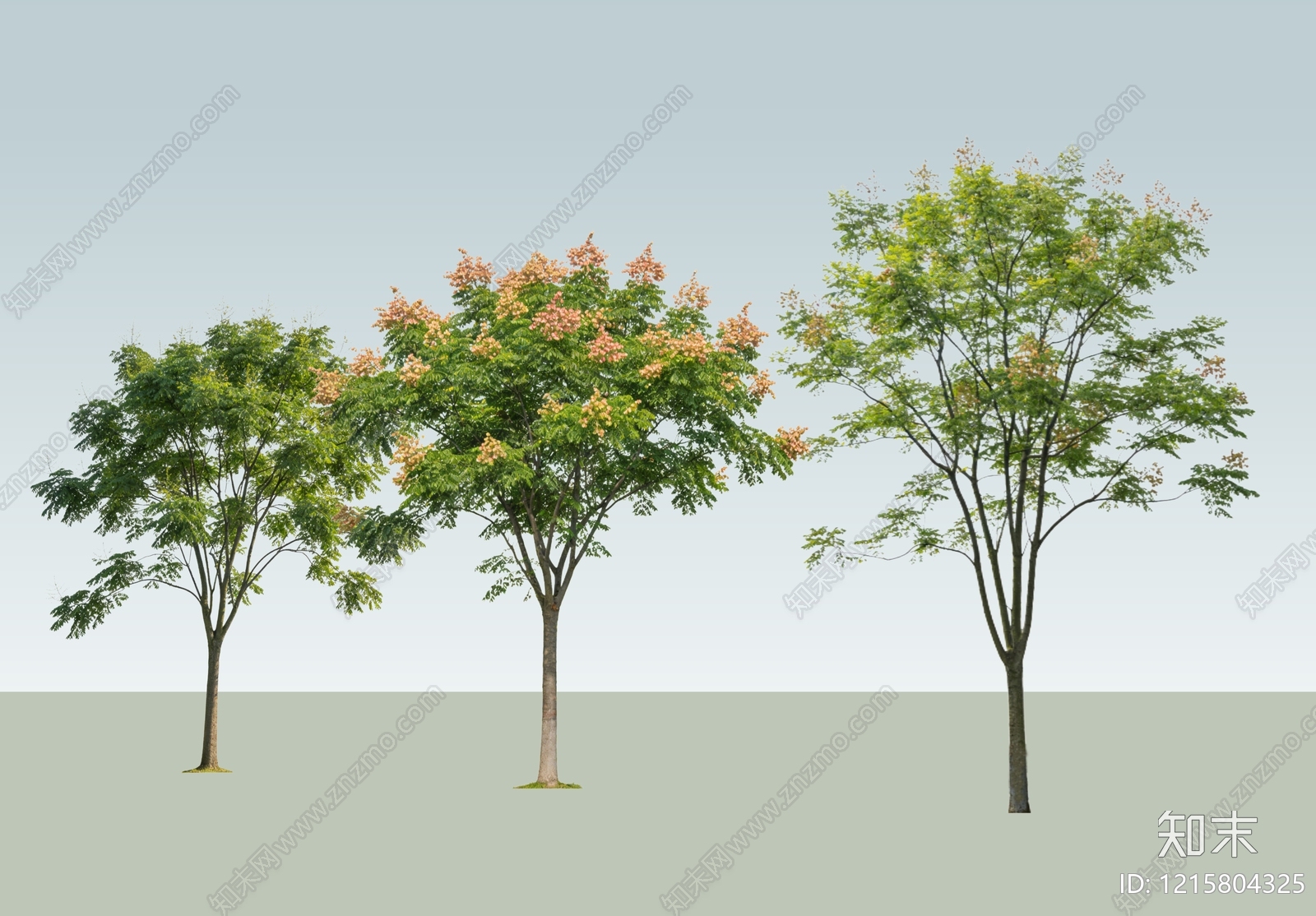 现代主义乔木SU模型下载【ID:1215804325】