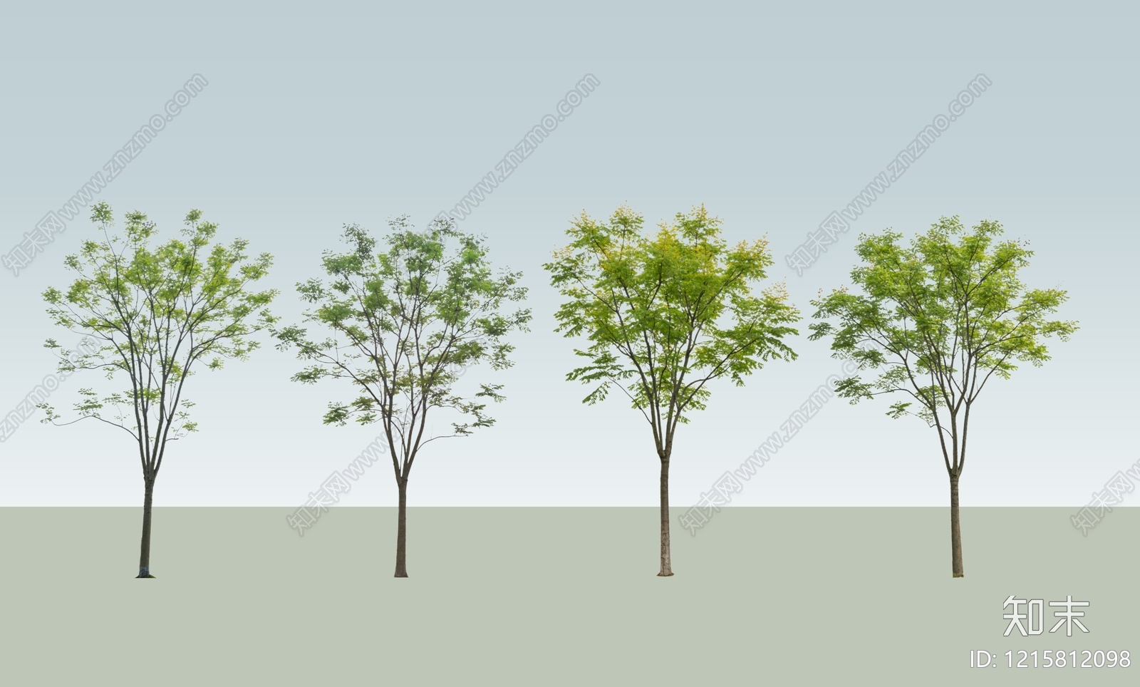 极简主义乔木SU模型下载【ID:1215812098】