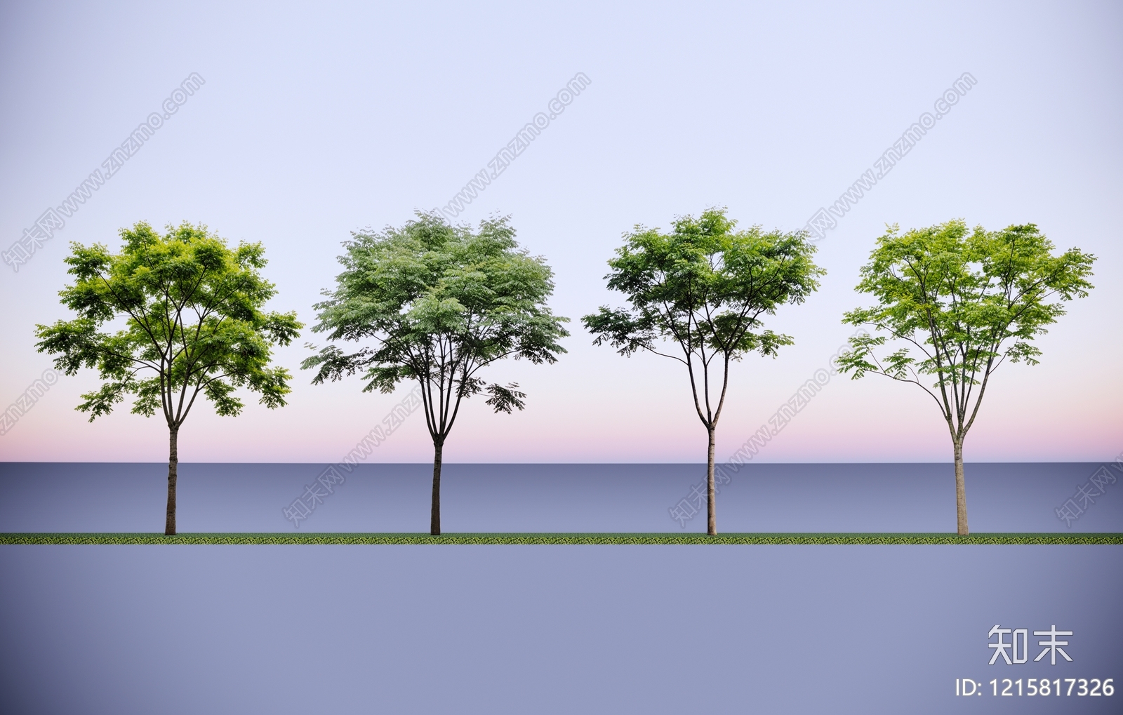 乔木SU模型下载【ID:1215817326】