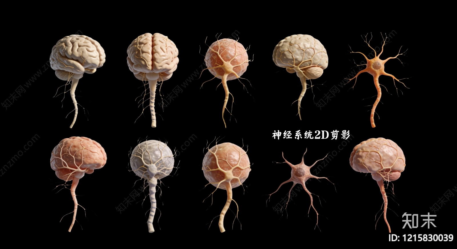 生物写实风医疗器材SU模型下载【ID:1215830039】