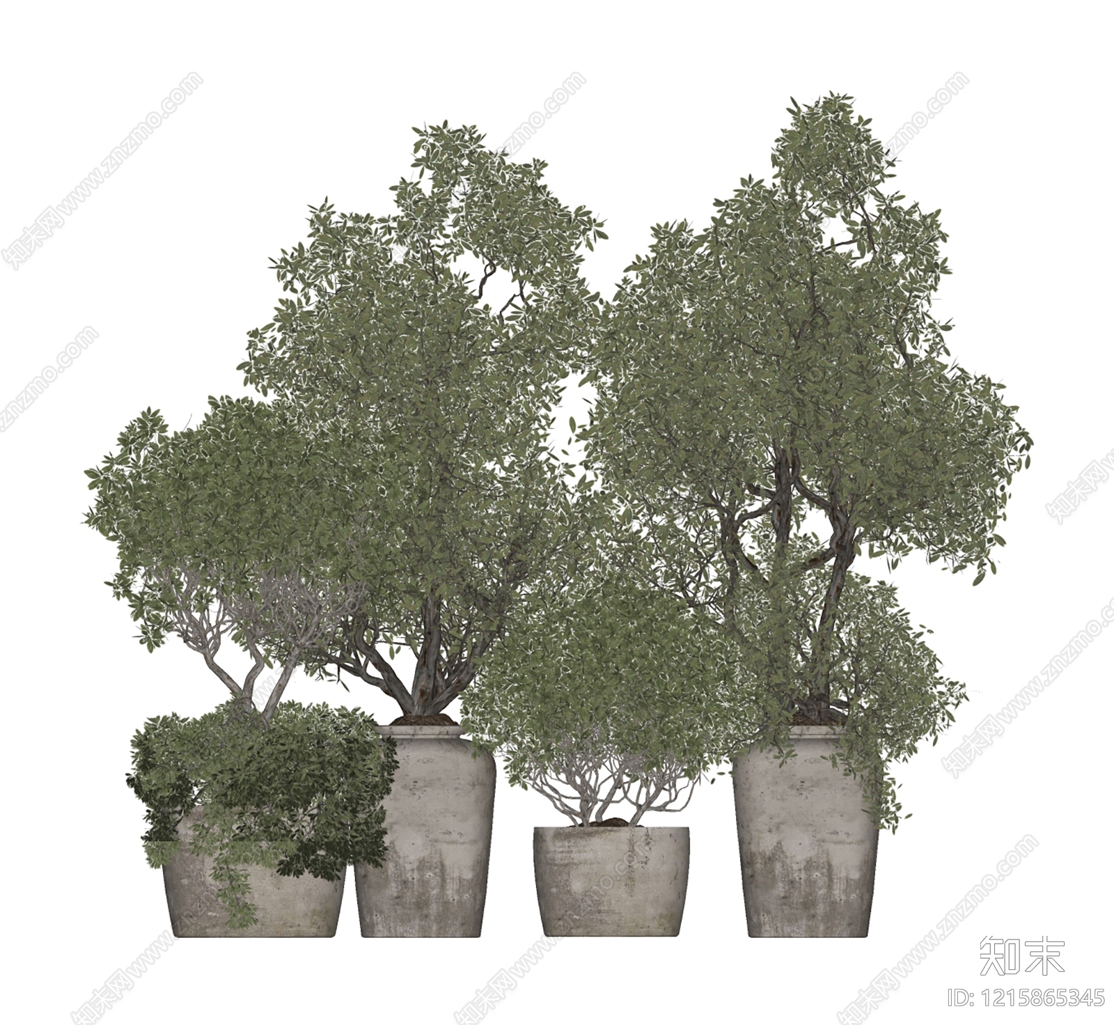 侘寂风盆栽SU模型下载【ID:1215865345】