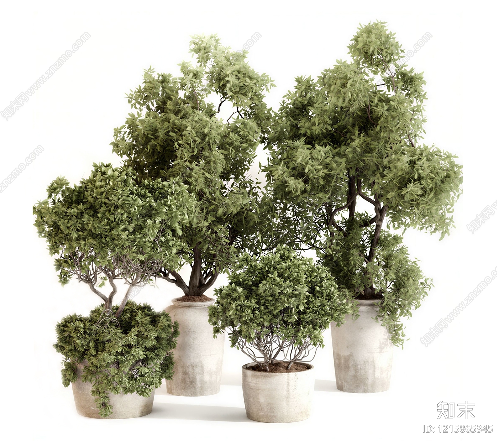 侘寂风盆栽SU模型下载【ID:1215865345】