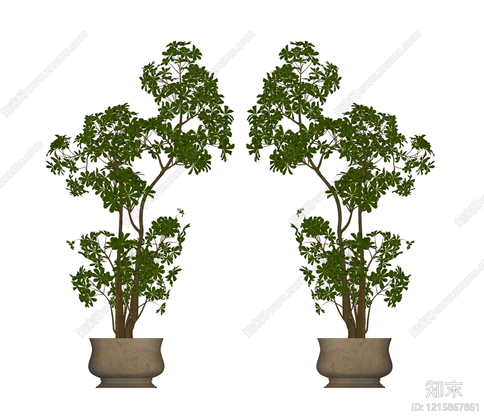 盆栽SU模型下载【ID:1215867861】