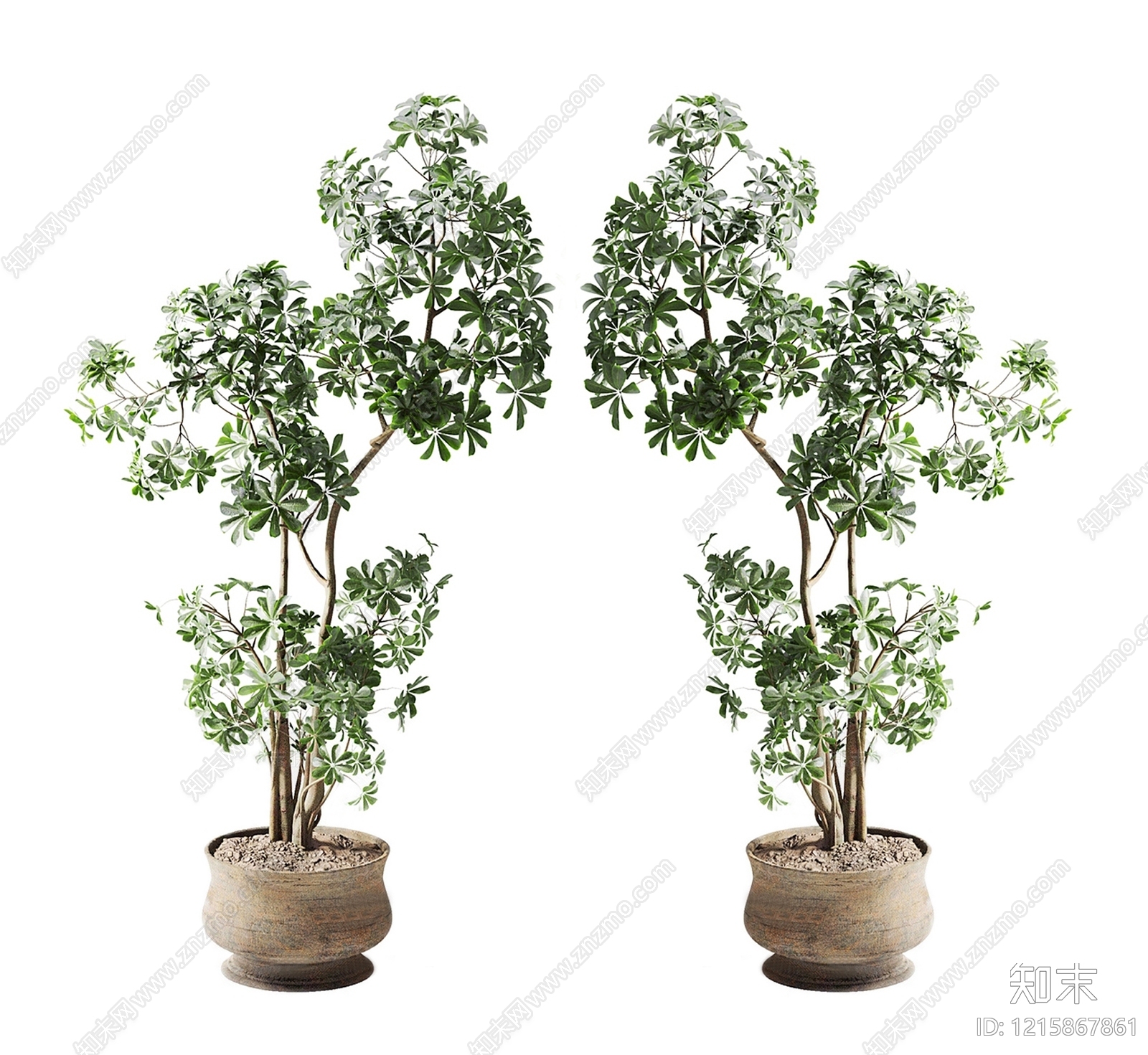 盆栽SU模型下载【ID:1215867861】