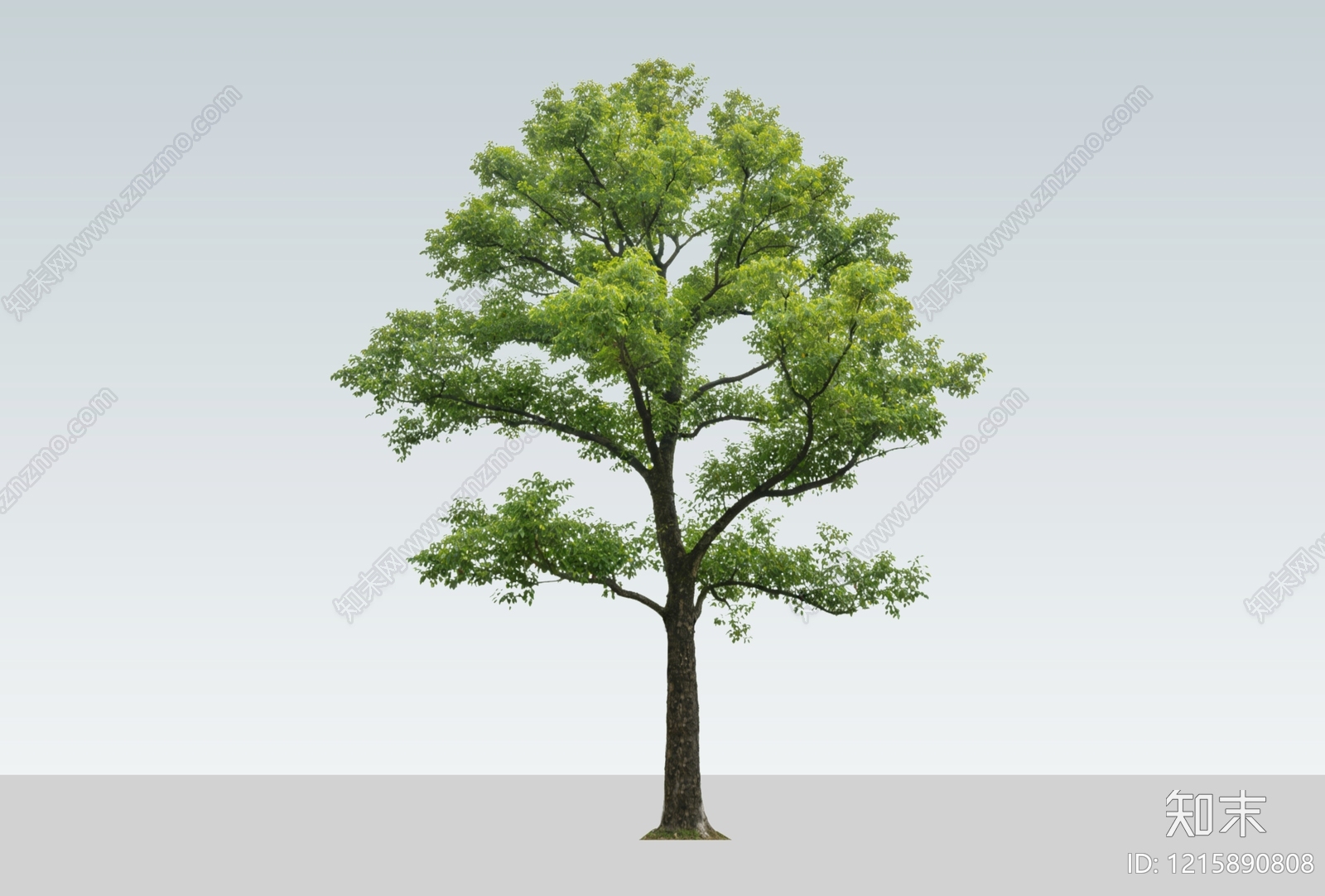 乔木SU模型下载【ID:1215890808】
