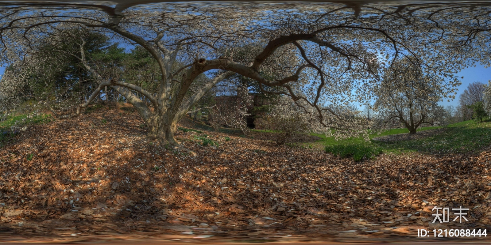 现代户外HDR贴图下载【ID:1216088444】