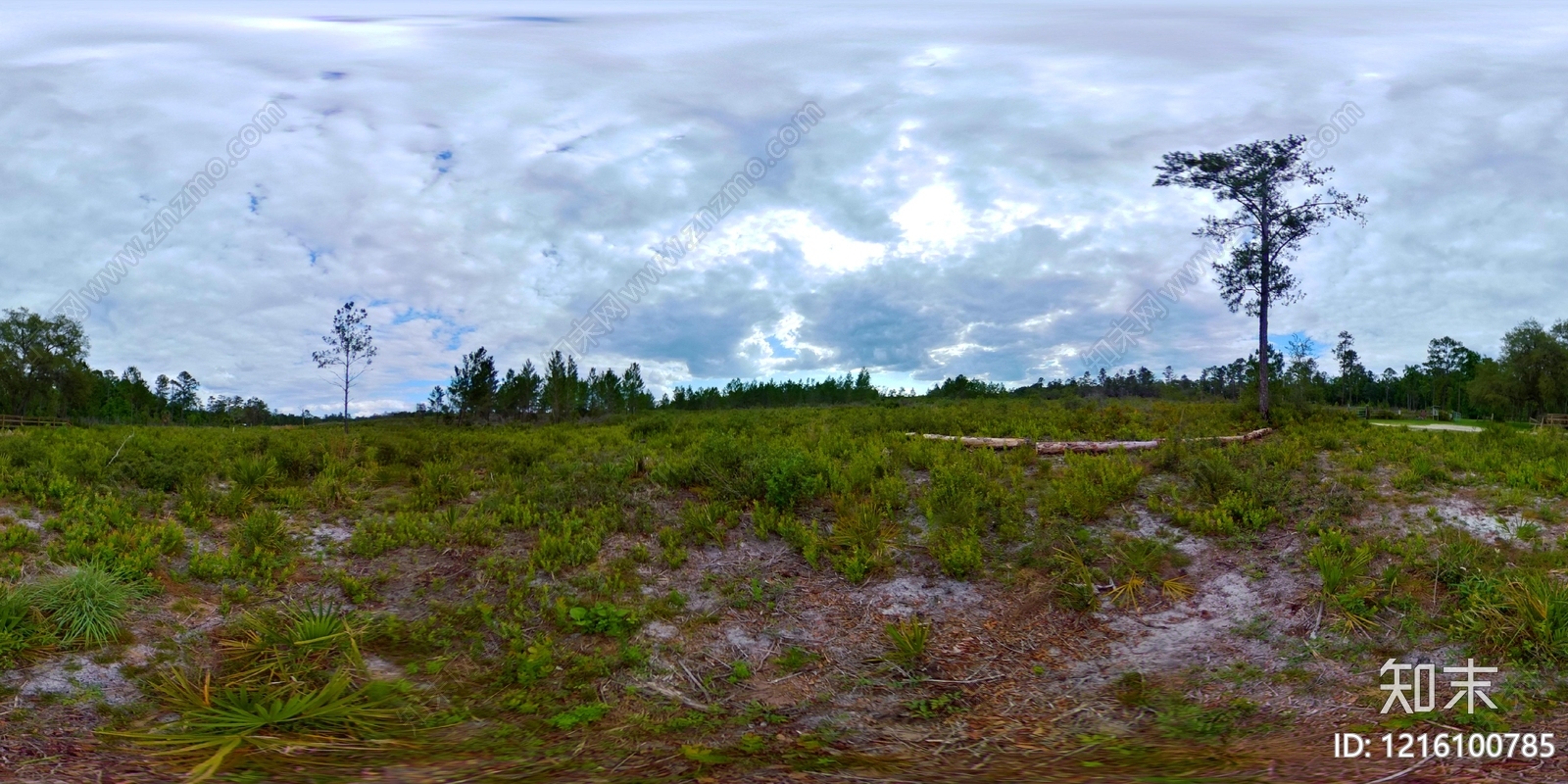 现代户外HDR贴图下载【ID:1216100785】