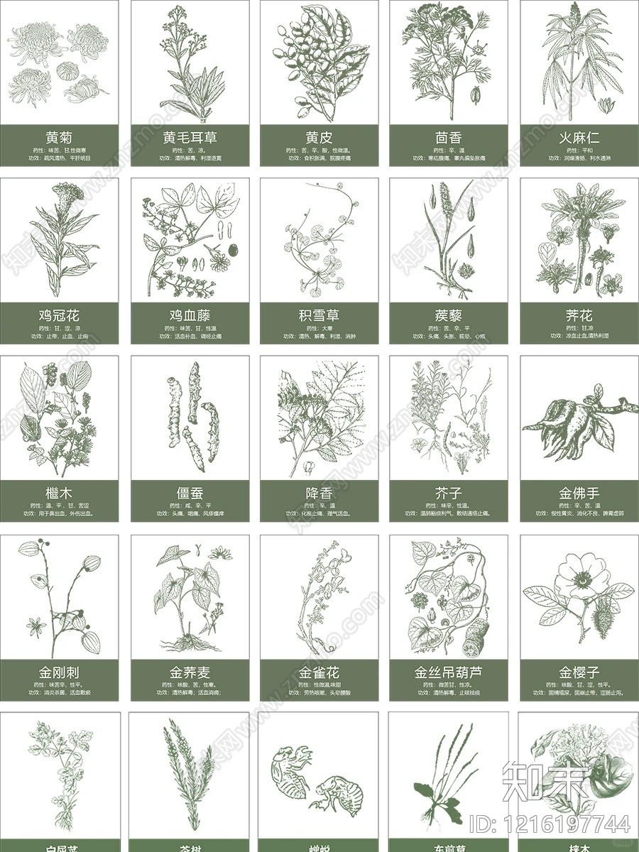 现代综合植物图库施工图下载【ID:1216197744】