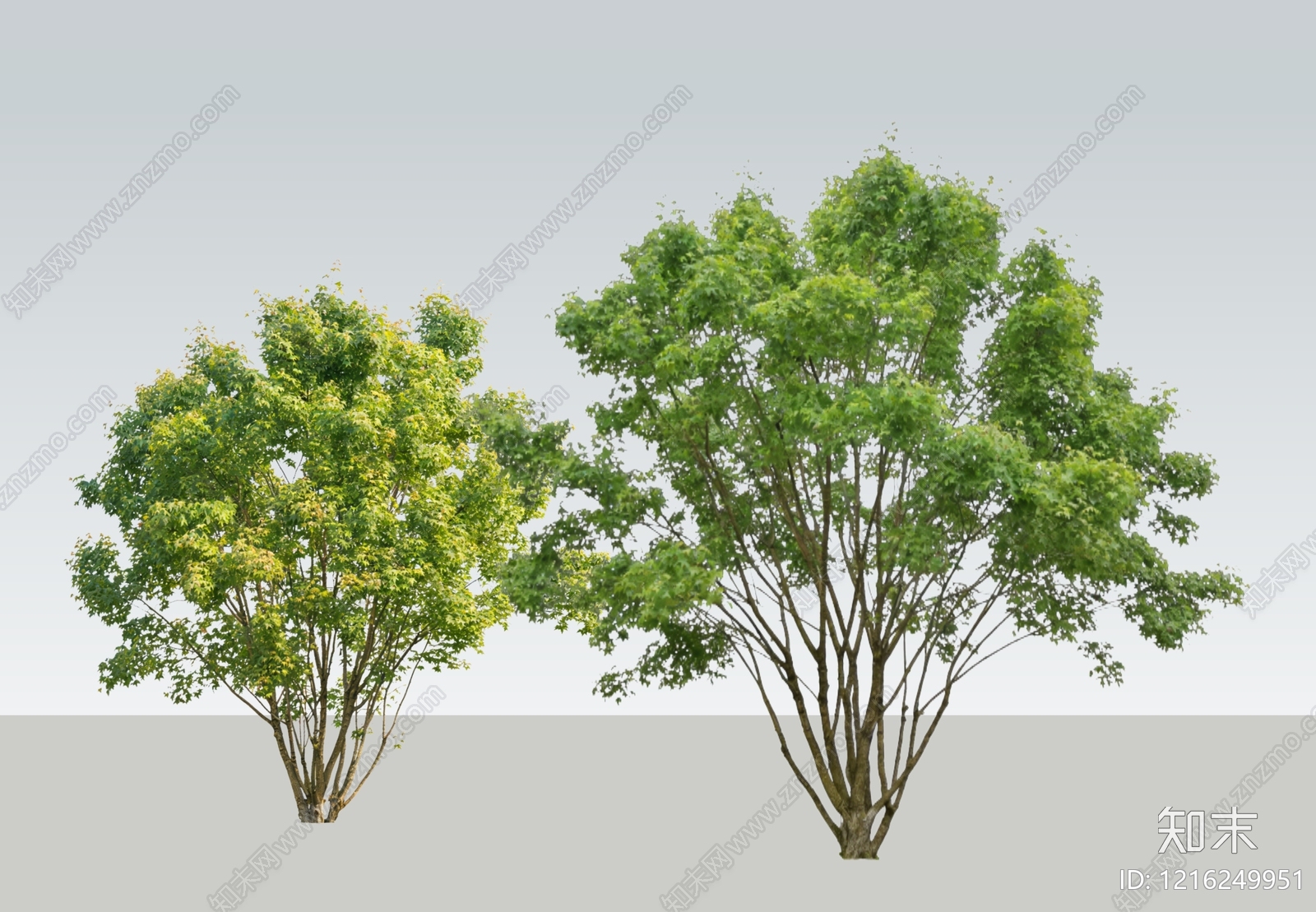 现代简约景观乔木SU模型下载【ID:1216249951】