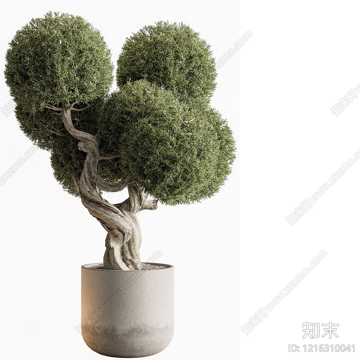 极简盆景3D模型下载【ID:1216310041】