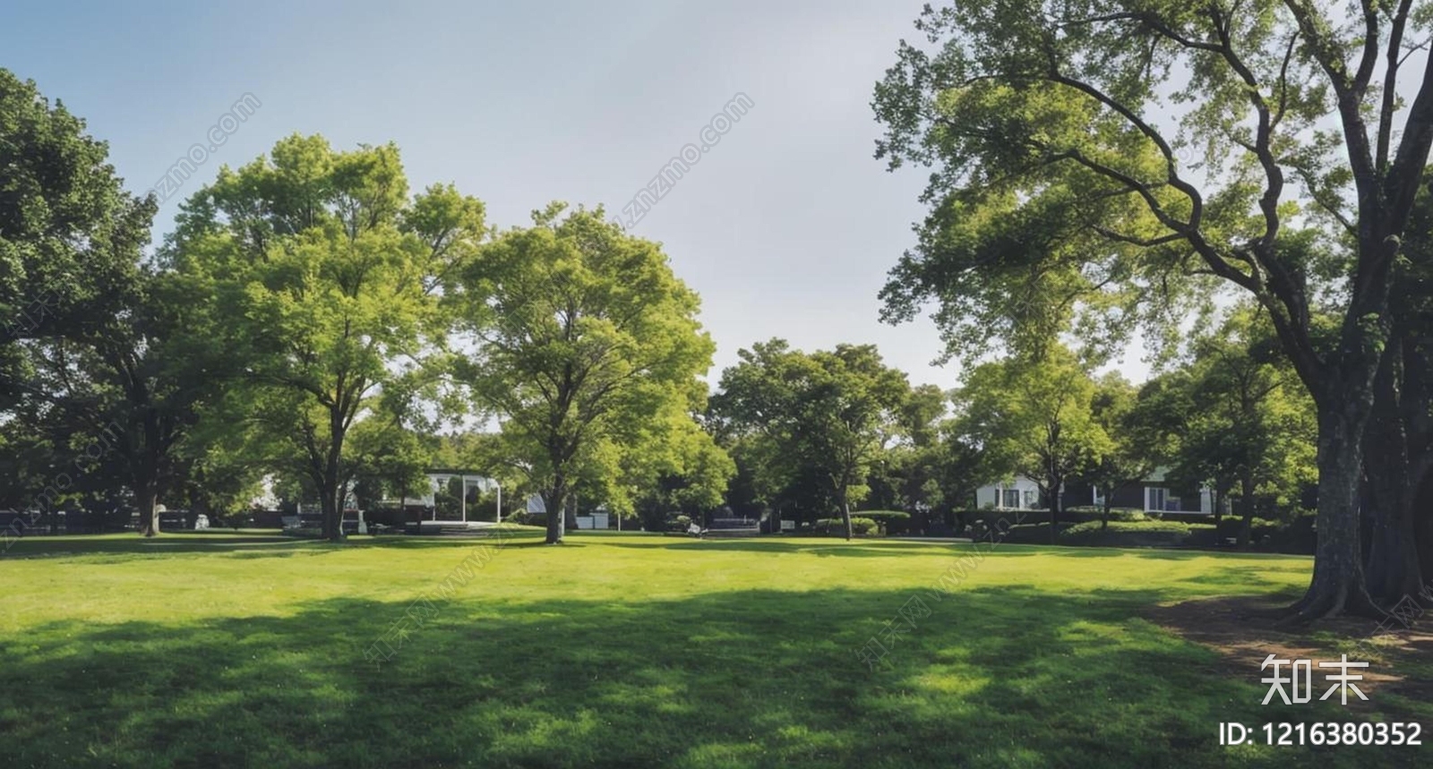 现代树木贴图下载【ID:1216380352】