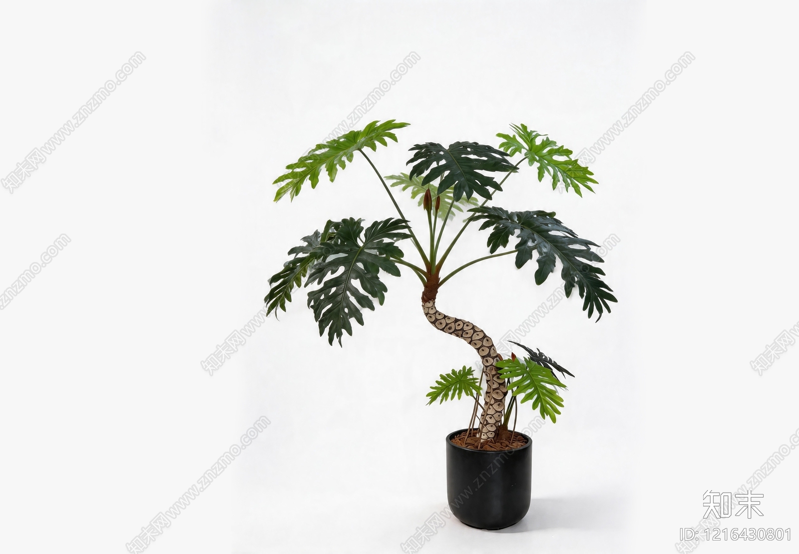 现代简约盆栽SU模型下载【ID:1216430801】
