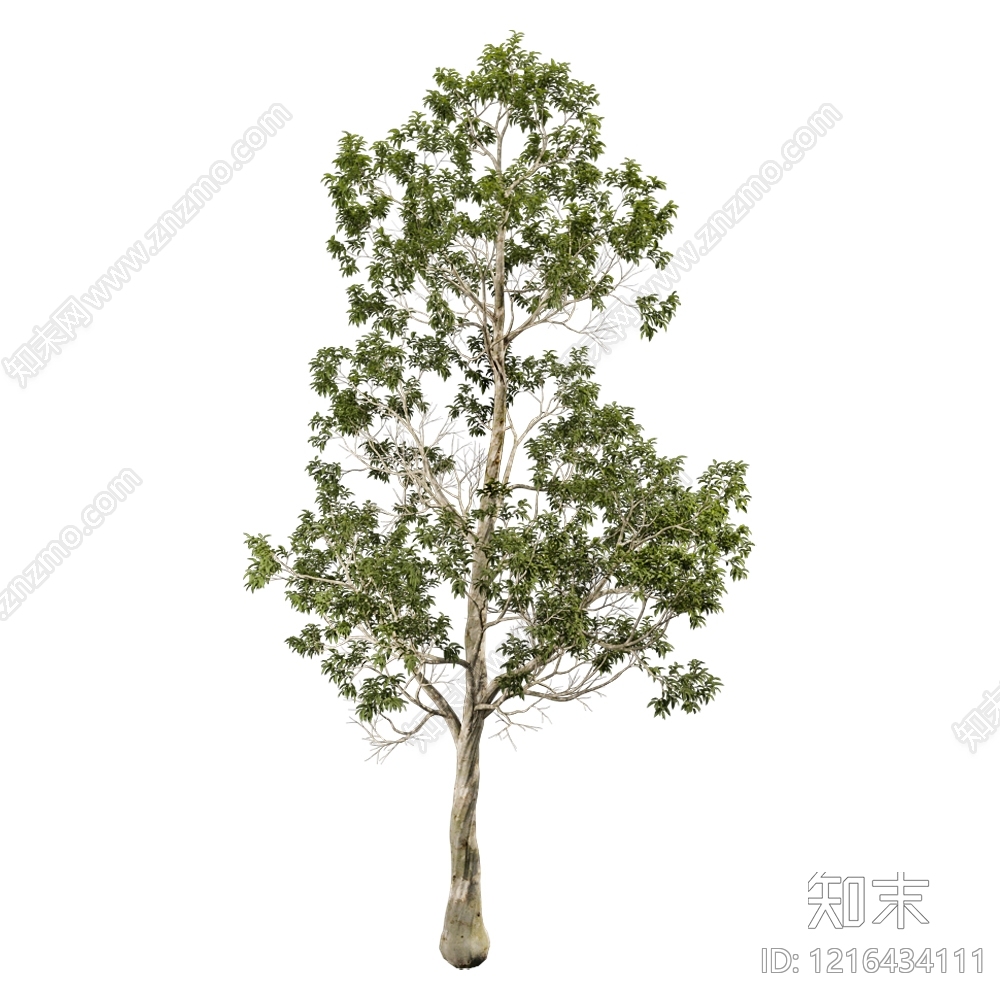 现代主义乔木3D模型下载【ID:1216434111】