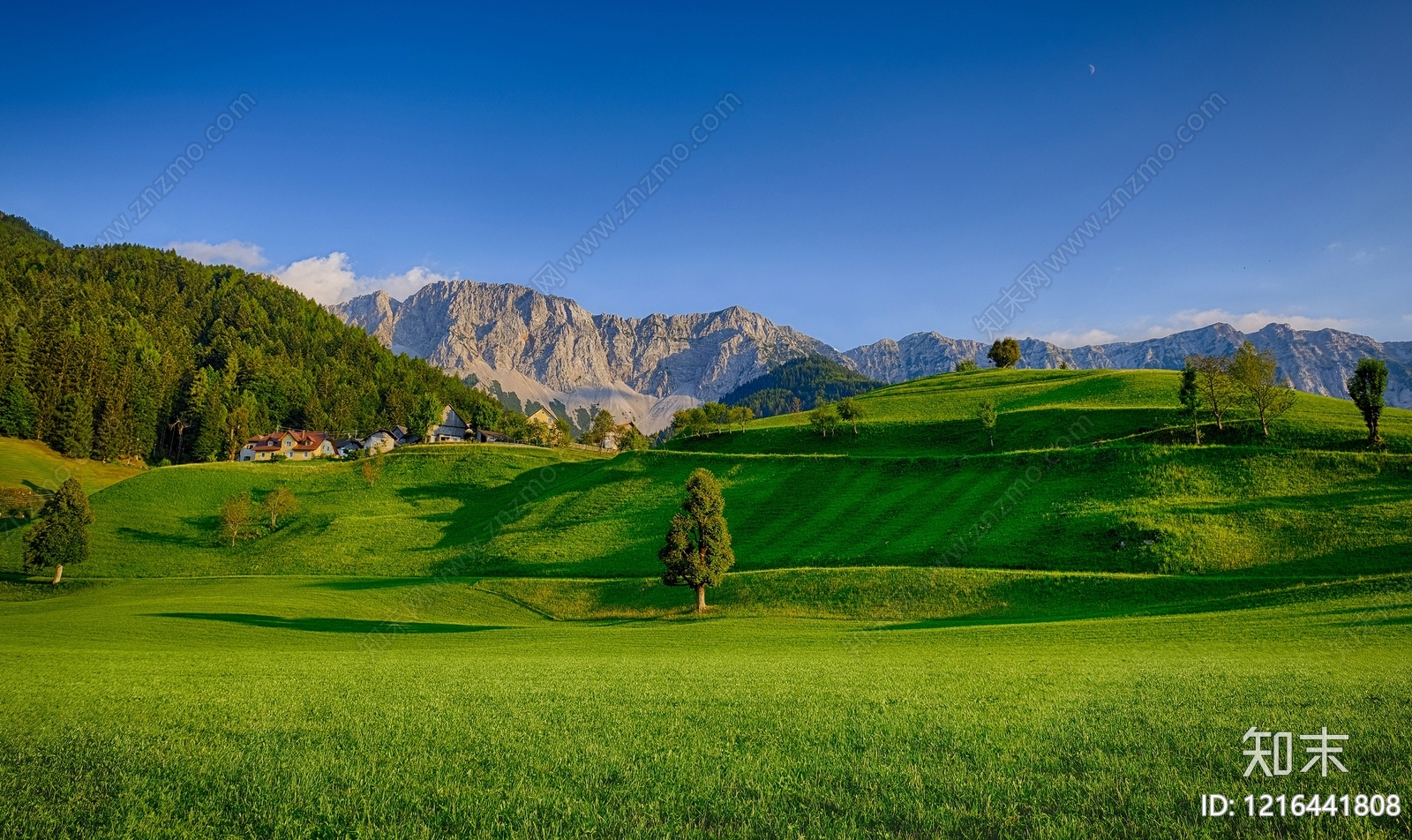 农田贴图下载【ID:1216441808】