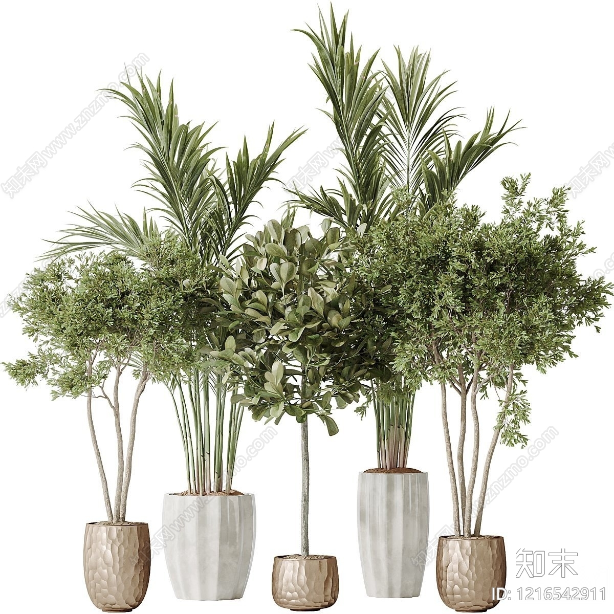 现代简约盆景3D模型渲染效果图