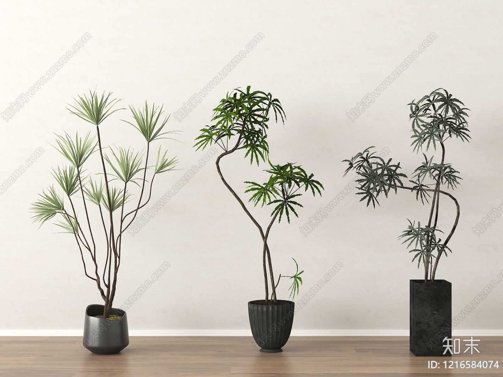 现代简约盆栽3D模型下载【ID:1216584074】