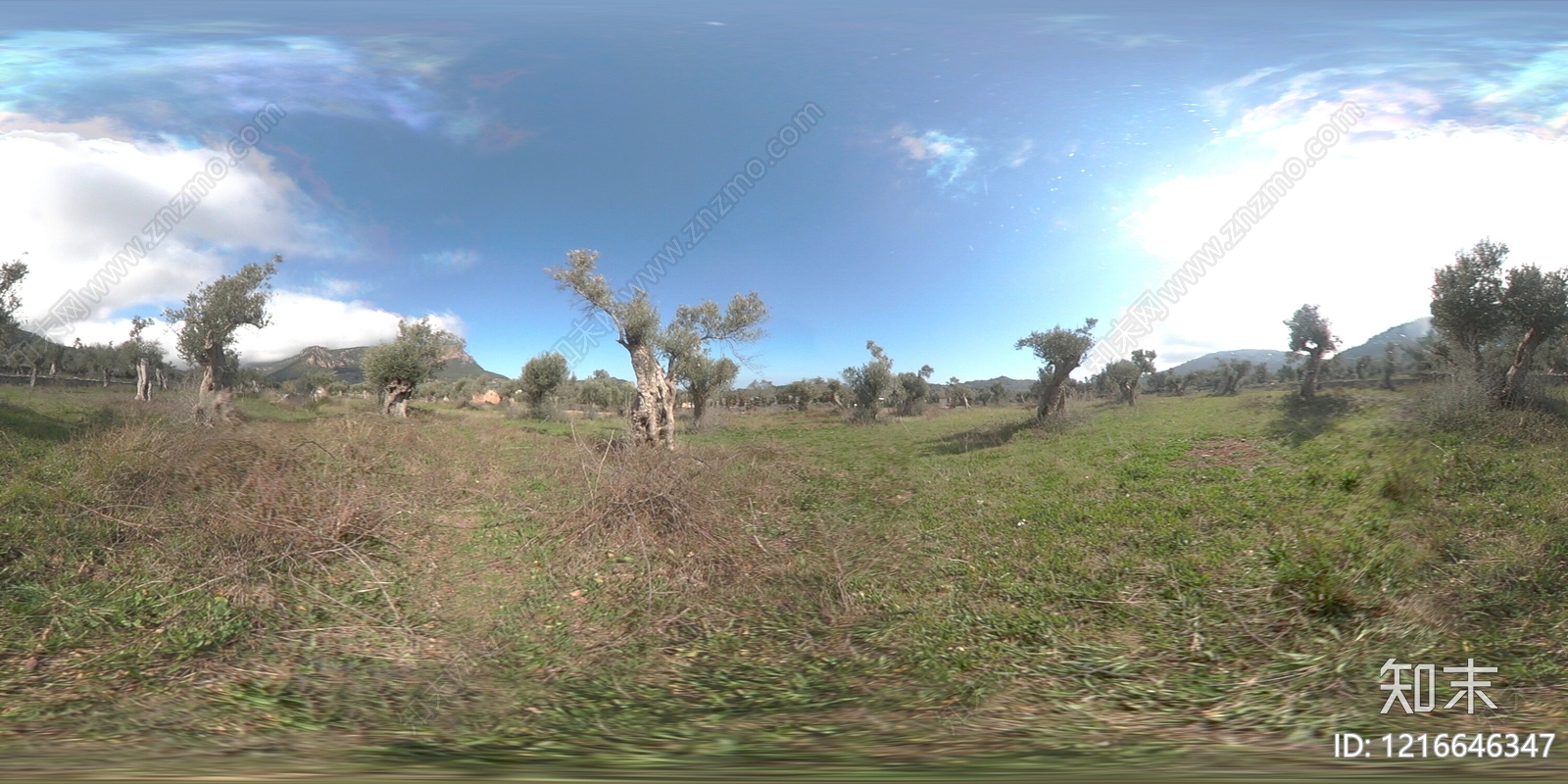 现代户外HDR贴图下载【ID:1216646347】