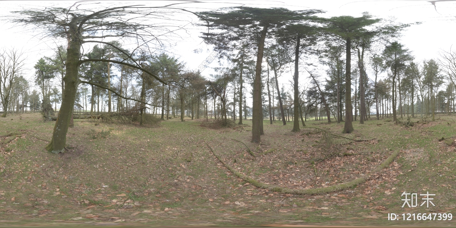 现代户外HDR贴图下载【ID:1216647399】