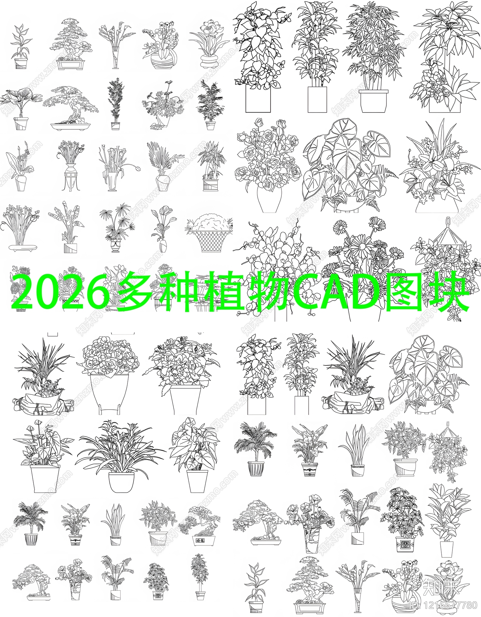 现代综合植物图库施工图下载【ID:1216677780】