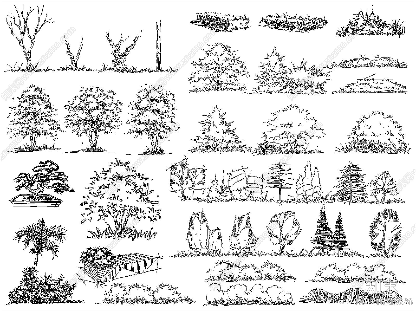 现代综合植物图库施工图下载【ID:1216719828】