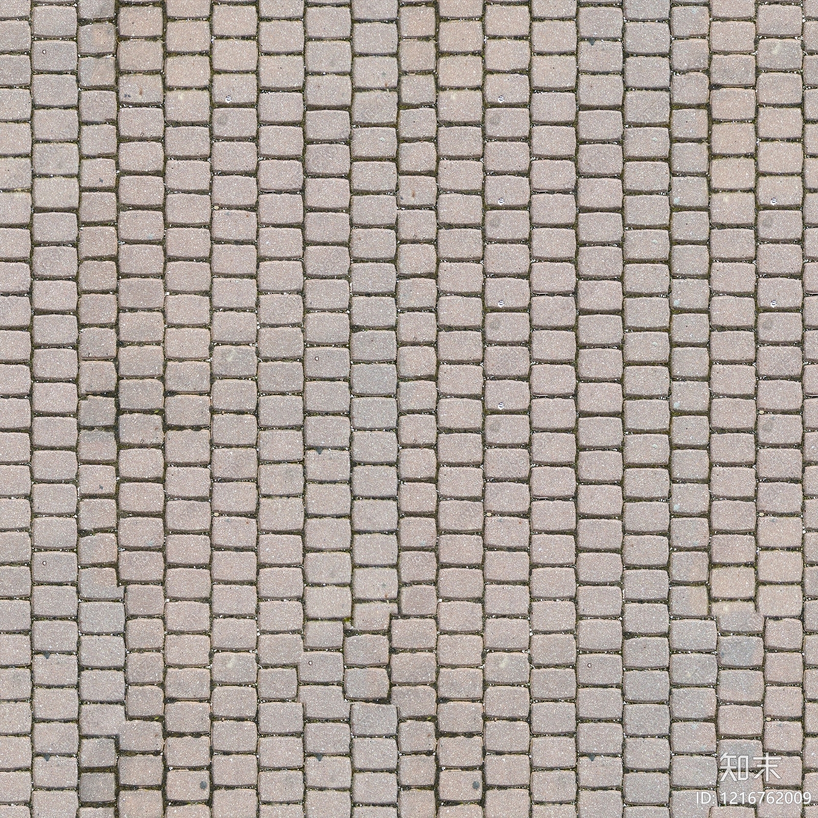 广场砖贴图下载【ID:1216762009】