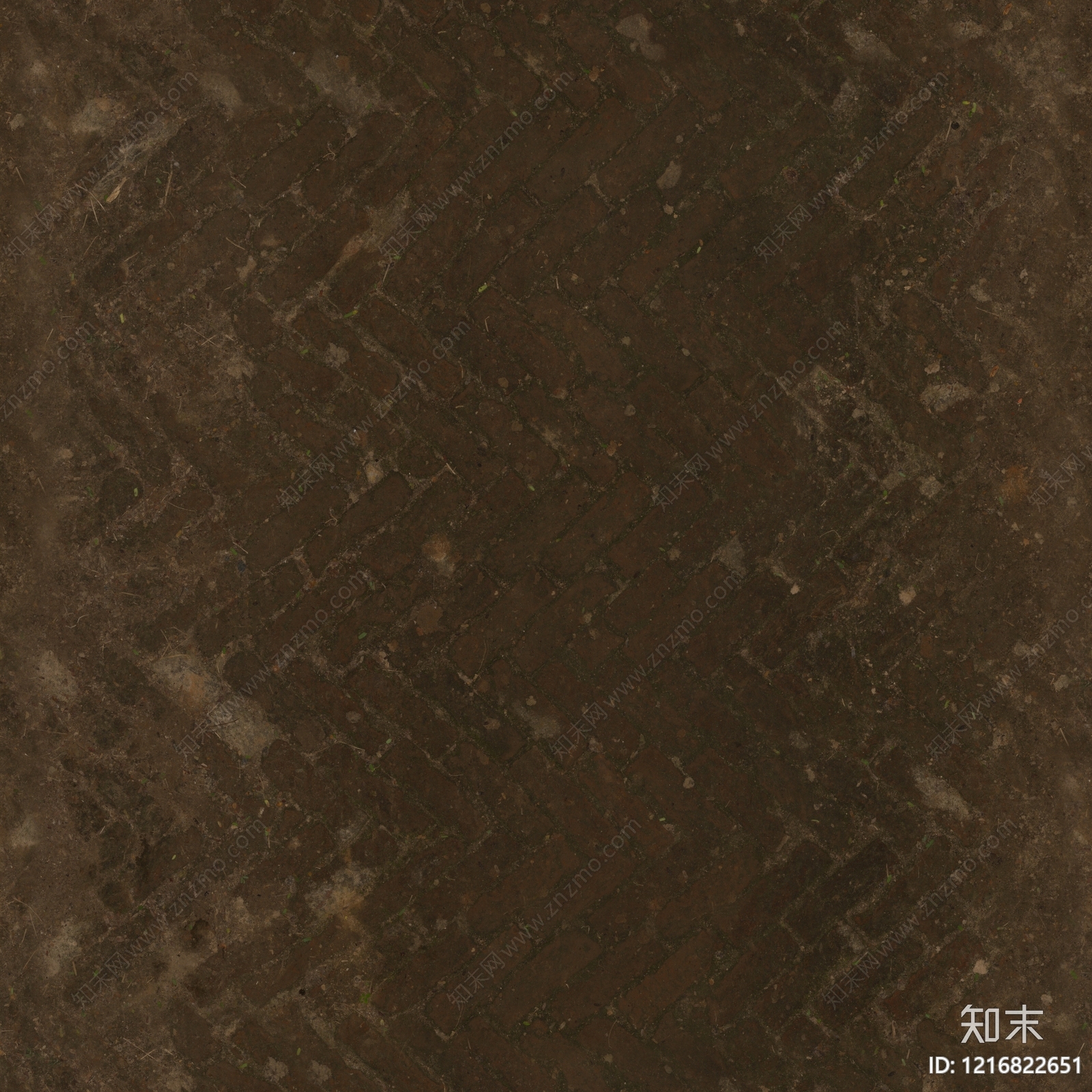 广场砖贴图下载【ID:1216822651】