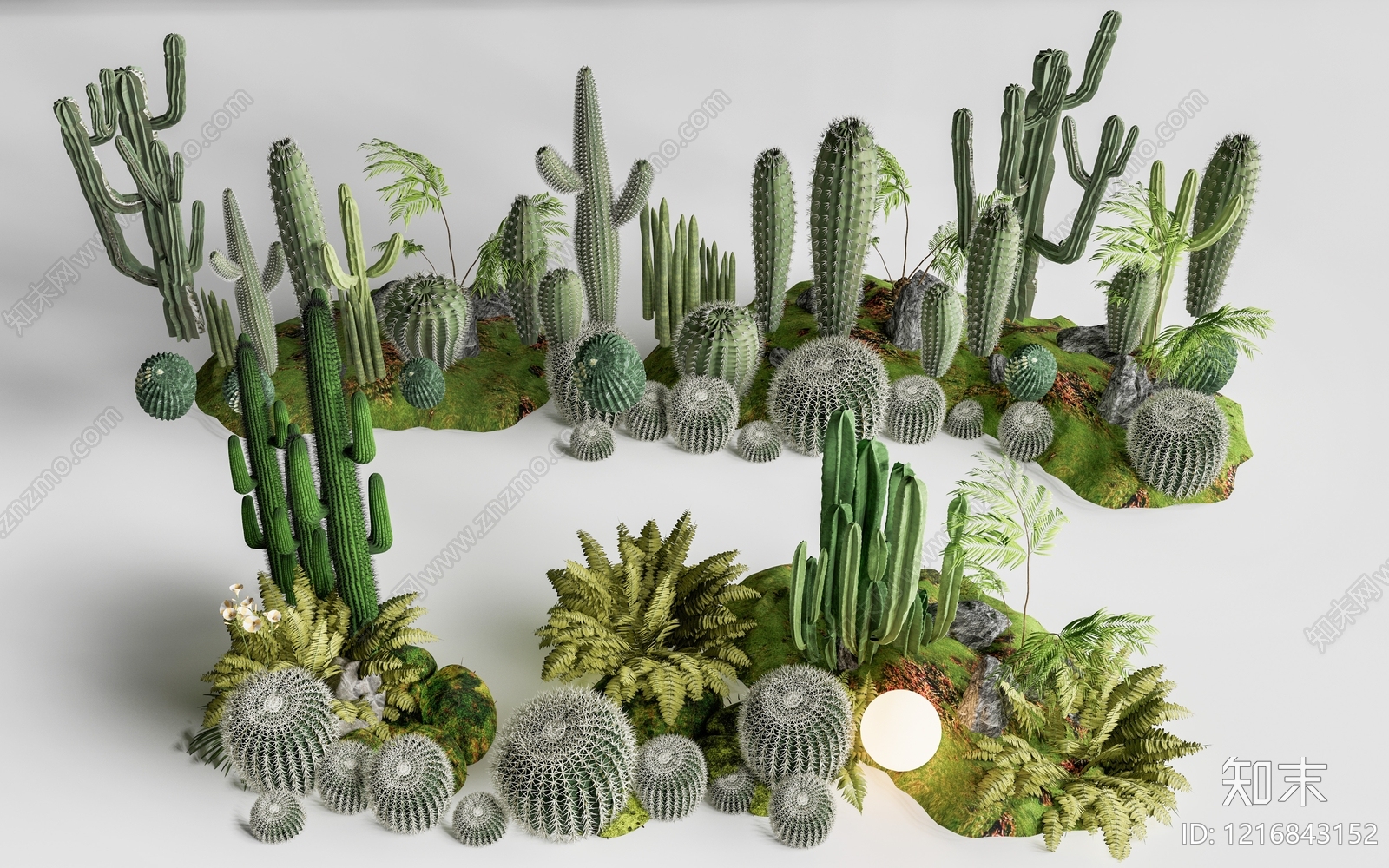 热带沙漠景观风沙漠植物SU模型草图