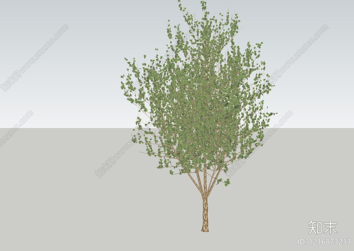 自然写实乔木SU模型下载【ID:1216873233】