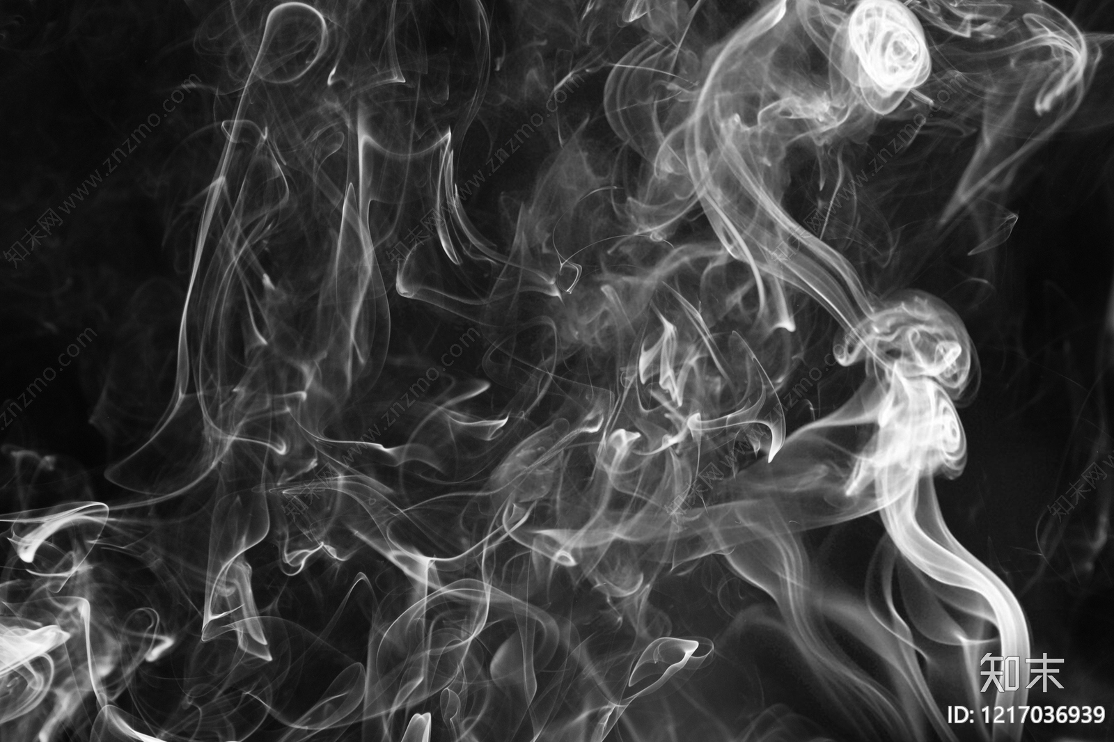 现代其他黑白凹凸贴图下载【ID:1217036939】