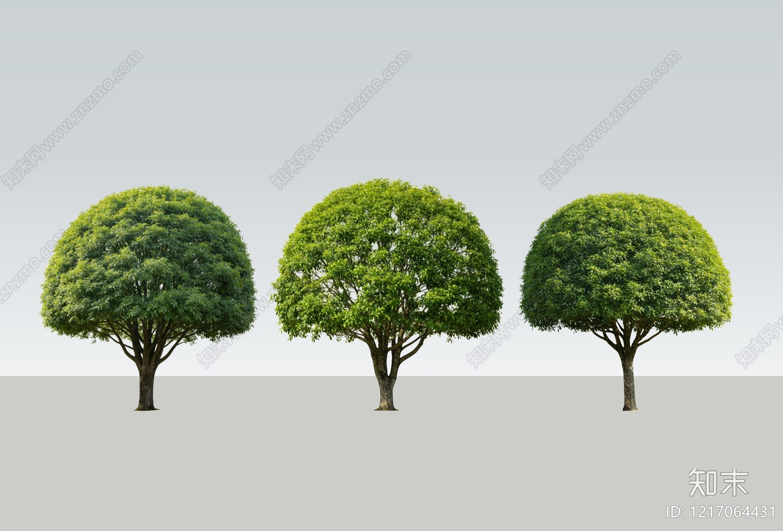 极简主义乔木SU模型下载【ID:1217064431】