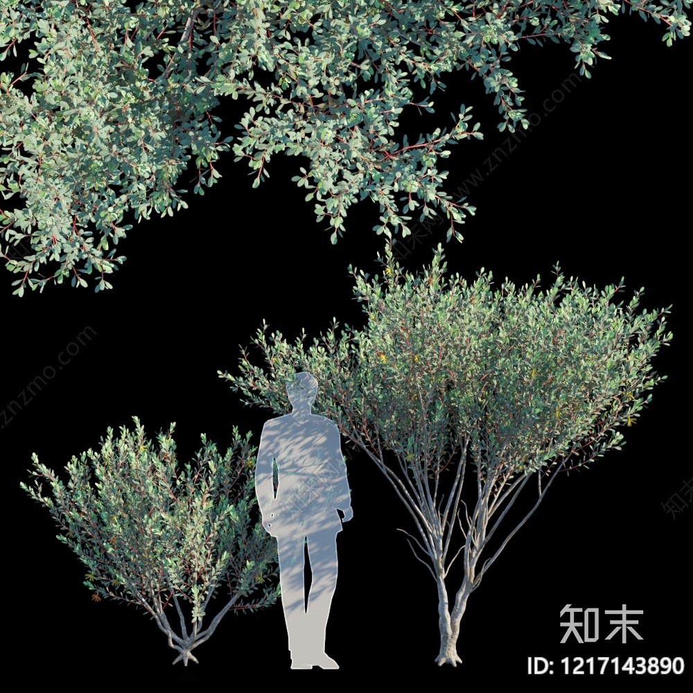 现代主义景观灌木3D模型渲染效果图