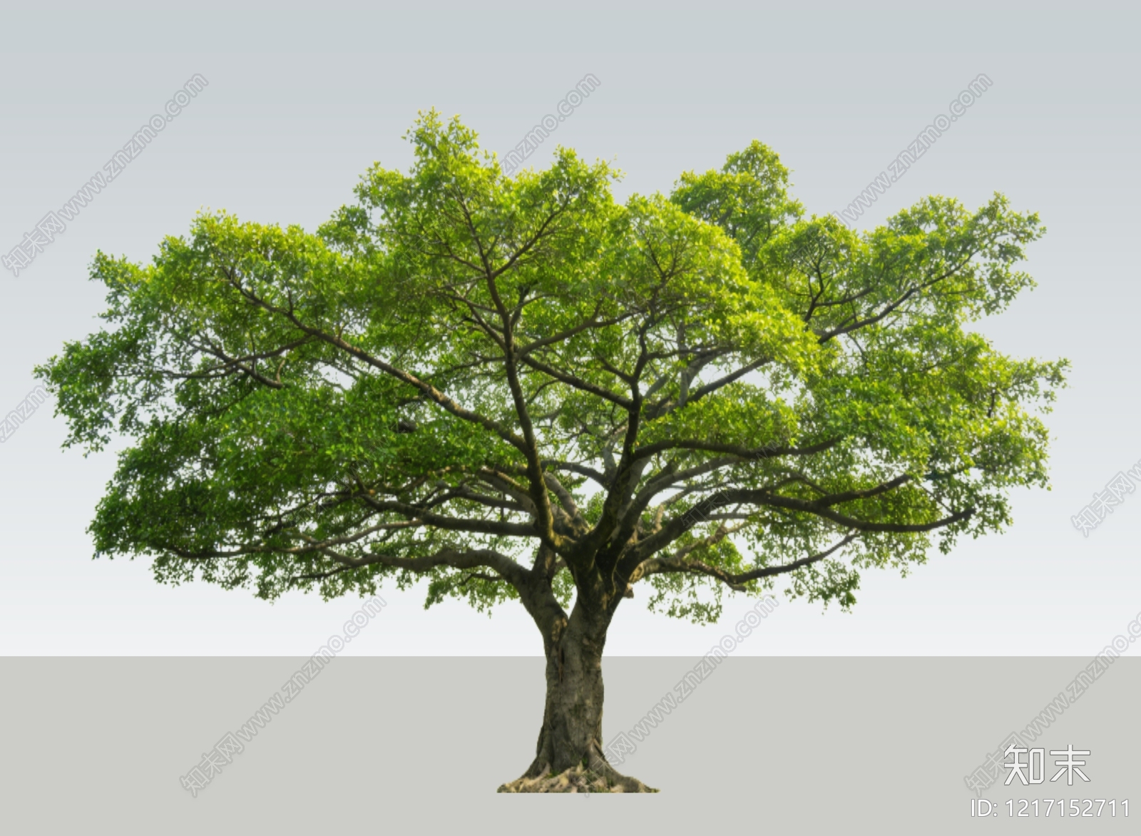 极简主义乔木SU模型下载【ID:1217152711】