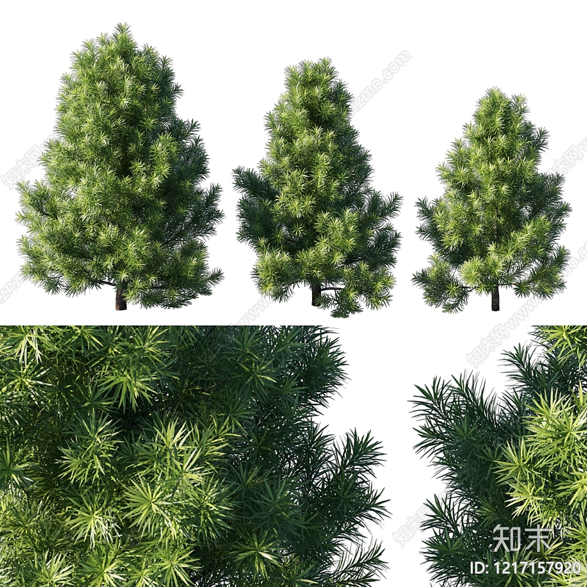 现代景观树景观树3D模型下载【ID:1217157920】