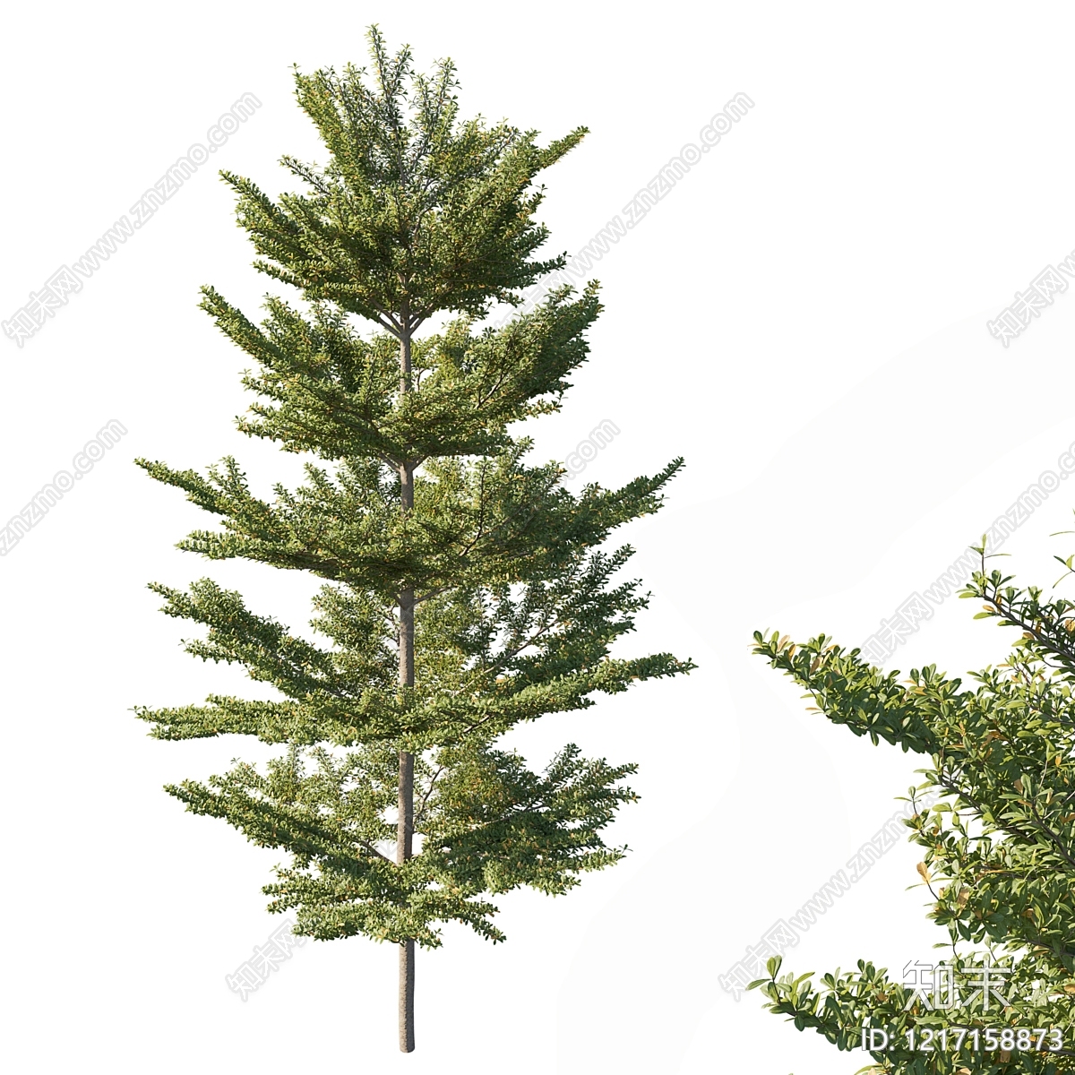 现代主义景观乔木3D模型下载【ID:1217158873】
