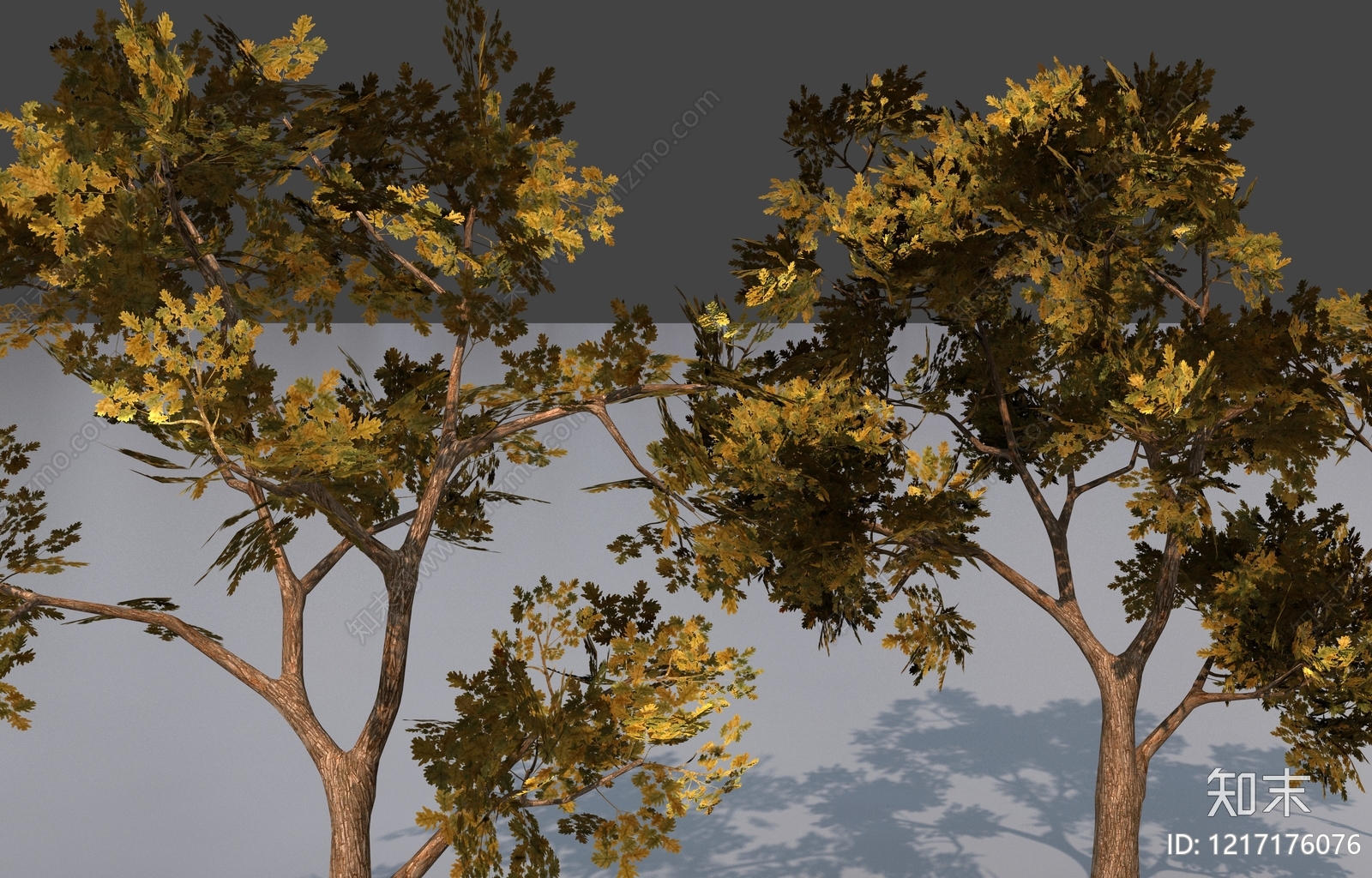 自然写实风景观树3D模型下载【ID:1217176076】