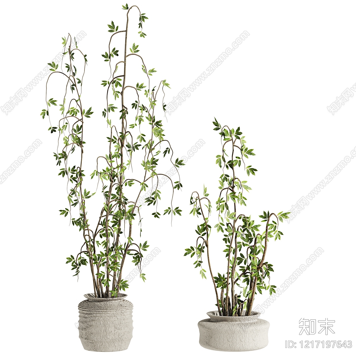 侘寂盆栽3D模型下载【ID:1217197643】