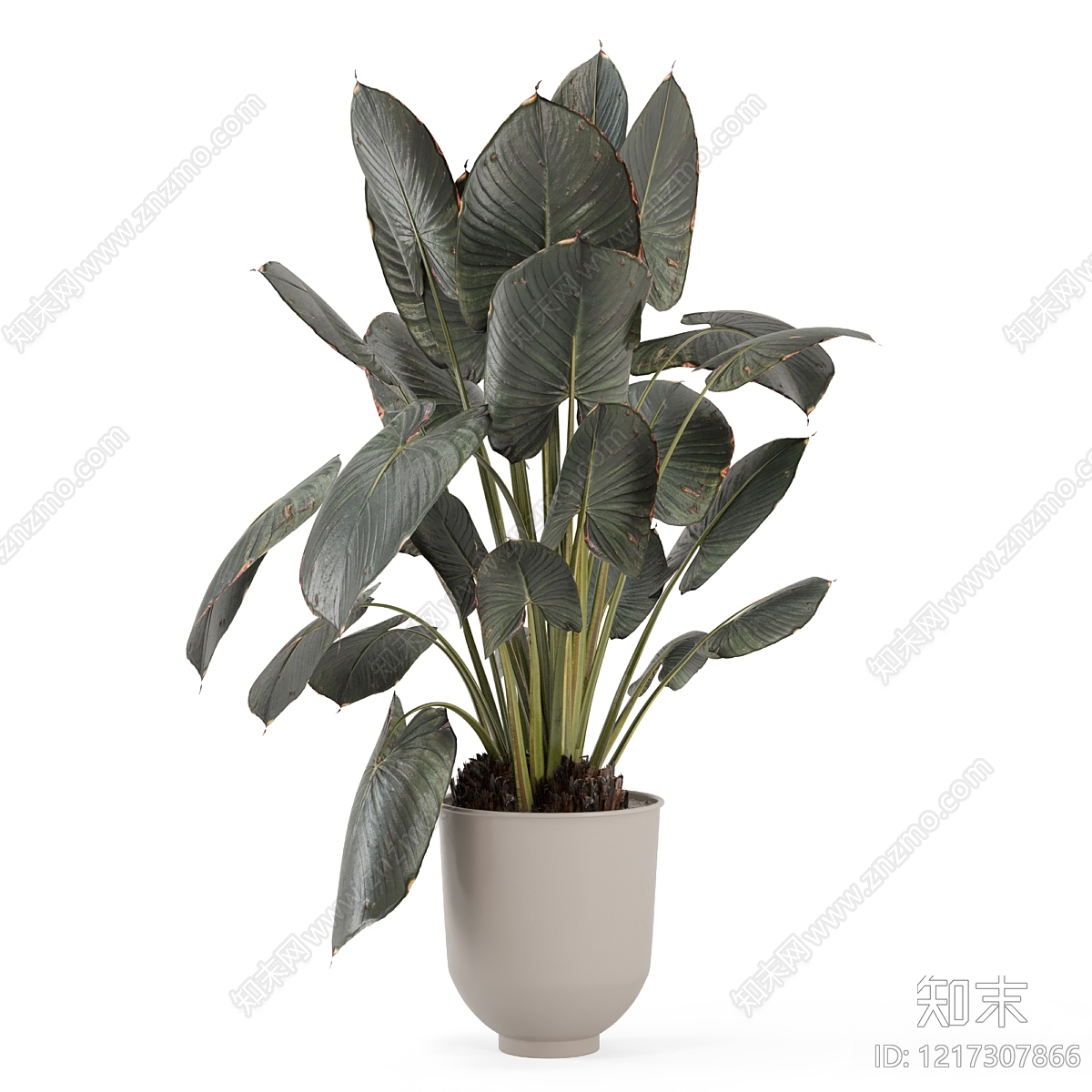 现代简约盆栽3D模型下载【ID:1217307866】