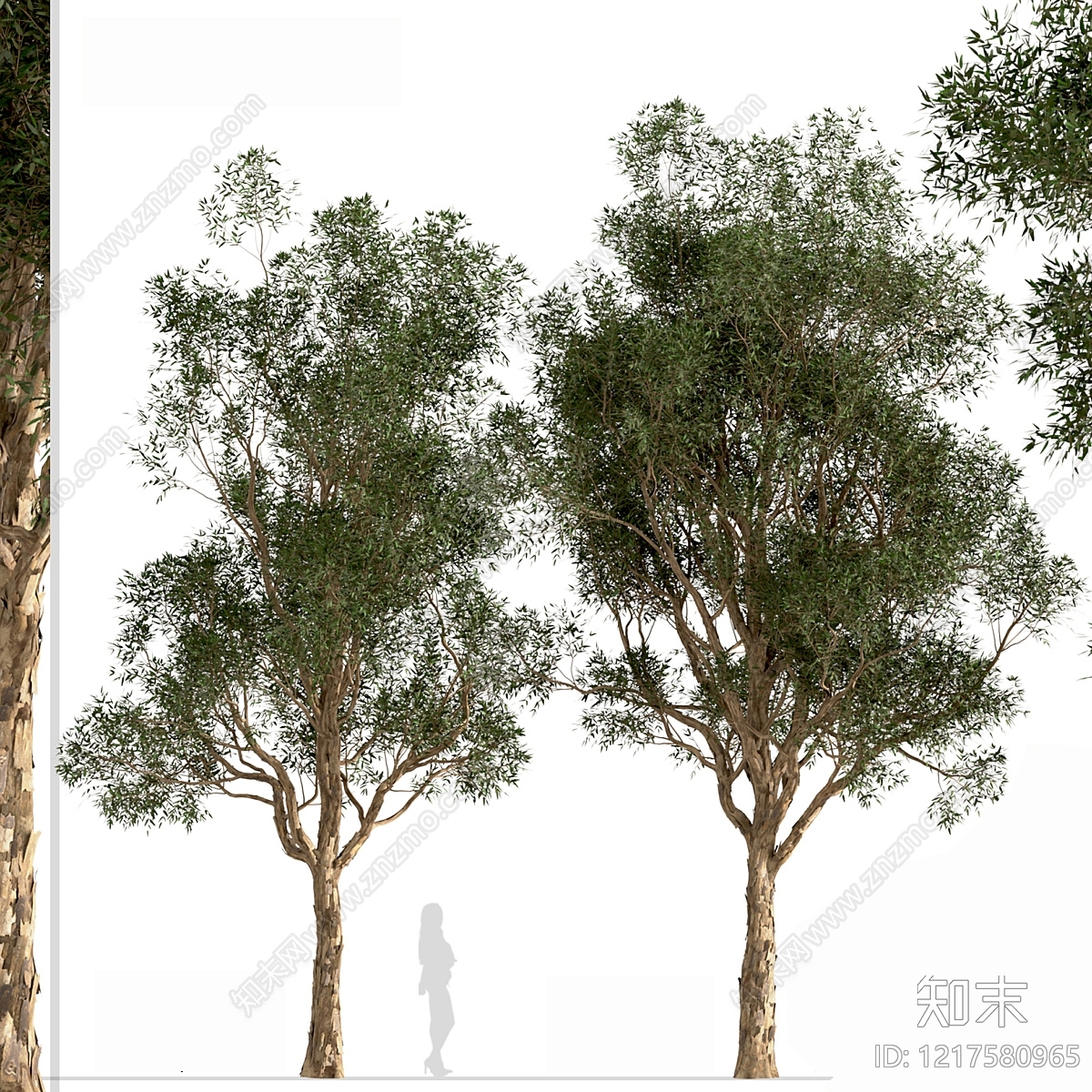 现代主义乔木3D模型下载【ID:1217580965】