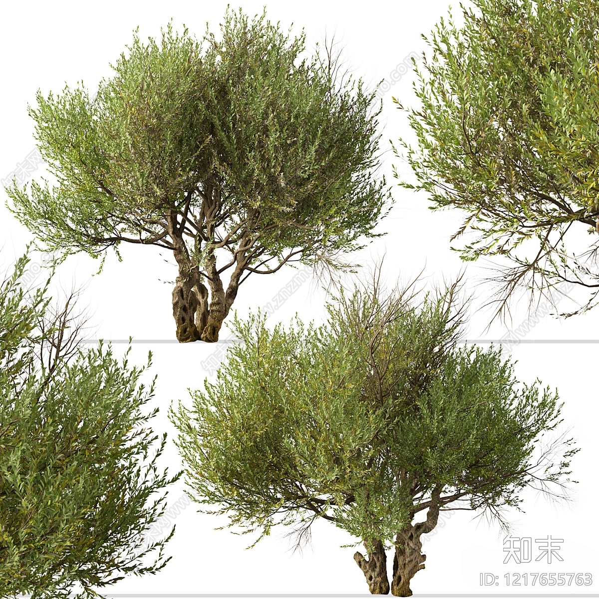 意式景观树3D模型下载【ID:1217655763】