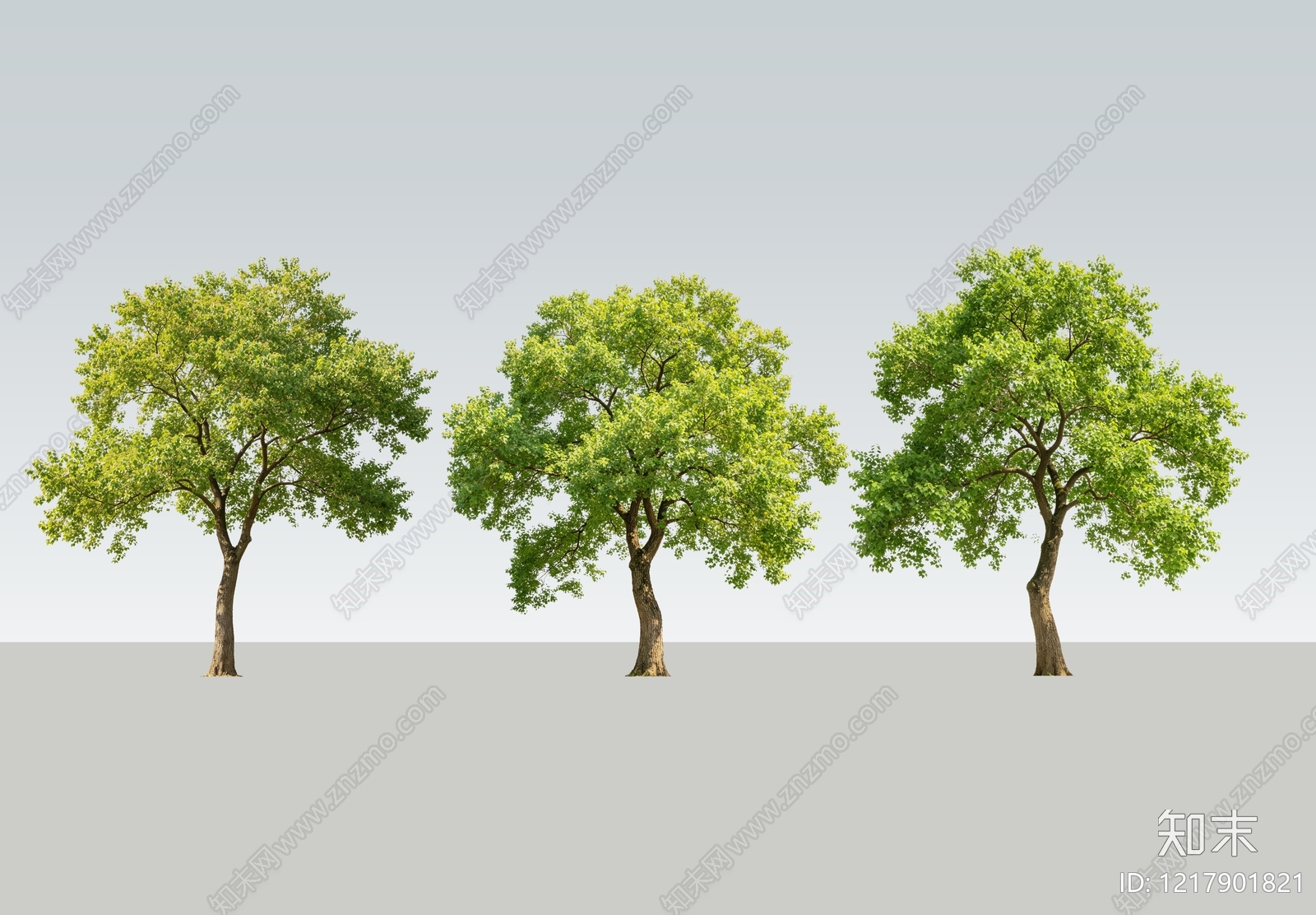 极简景观乔木SU模型下载【ID:1217901821】