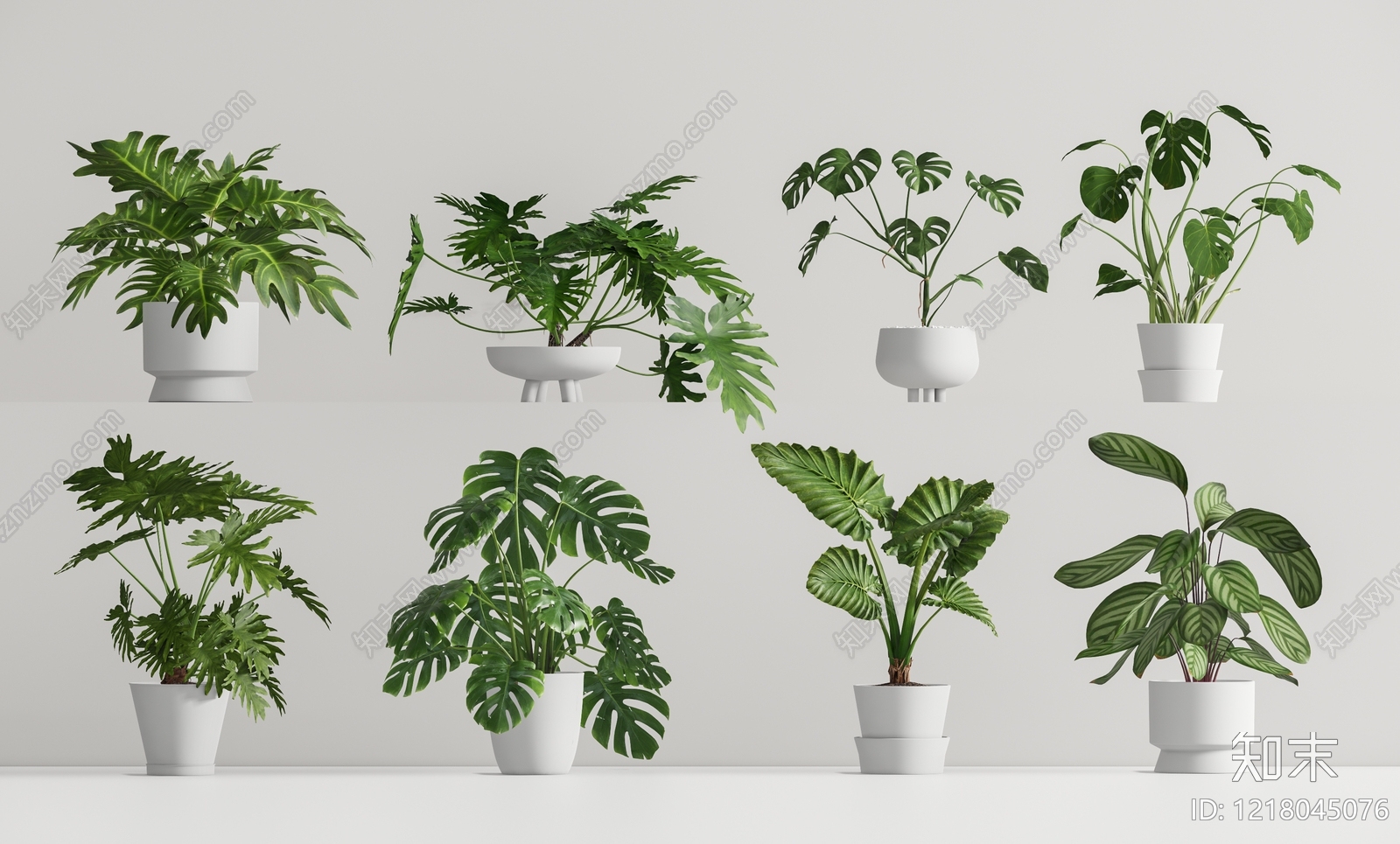 现代简约盆景3D模型渲染效果图