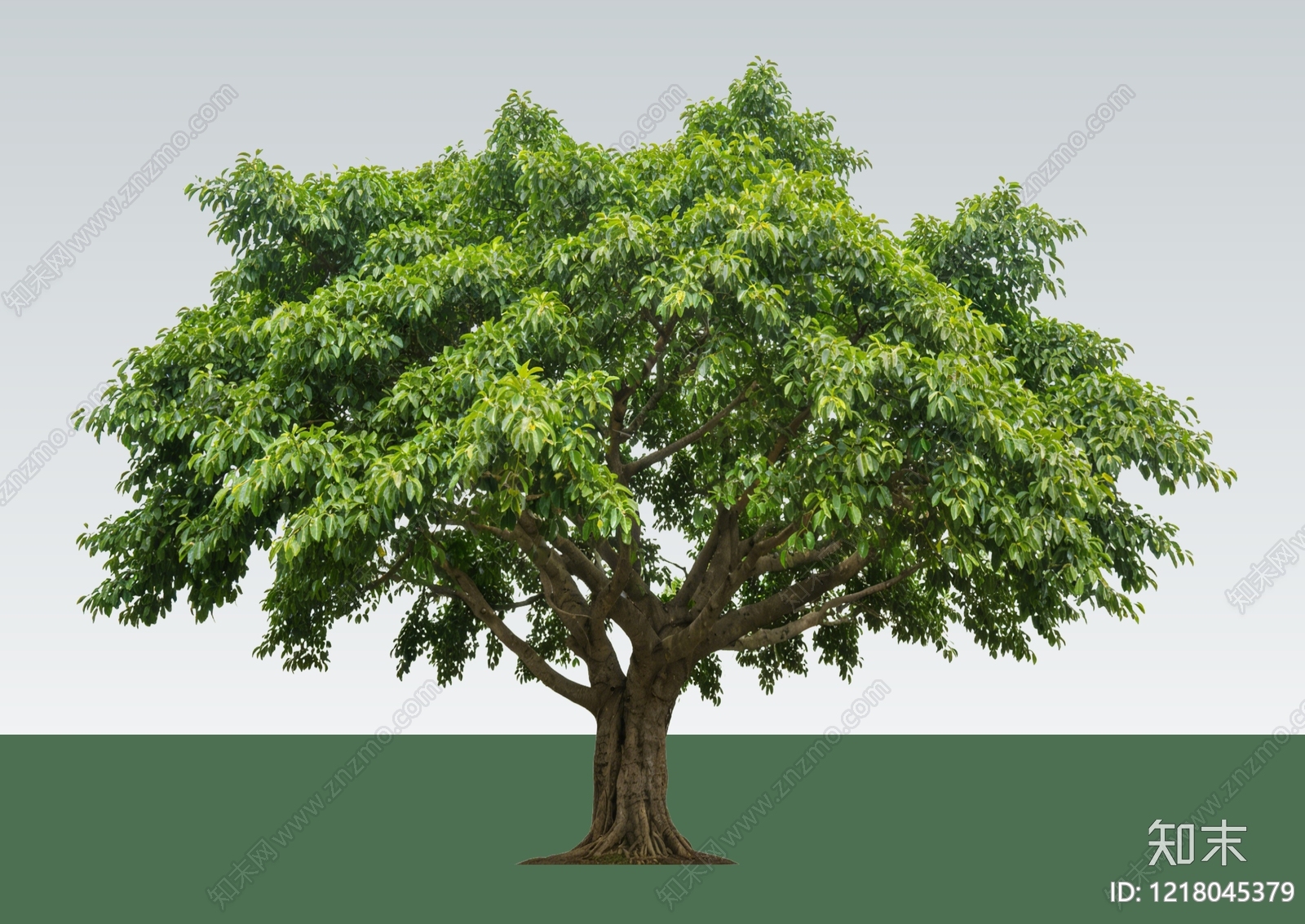 极简主义乔木SU模型下载【ID:1218045379】