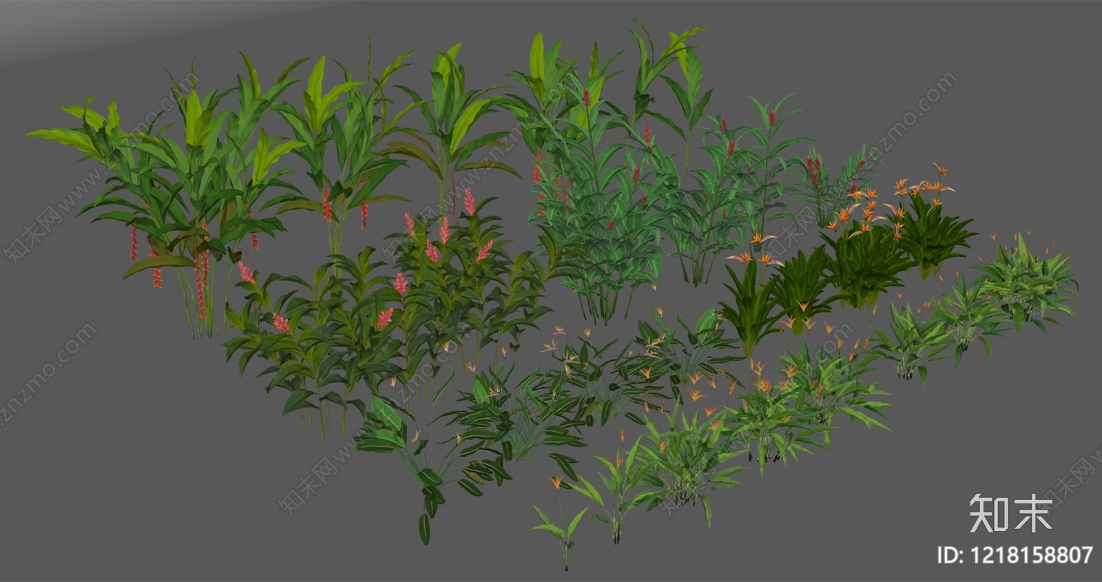 热带植物景观植物组合SU模型下载【ID:1218158807】