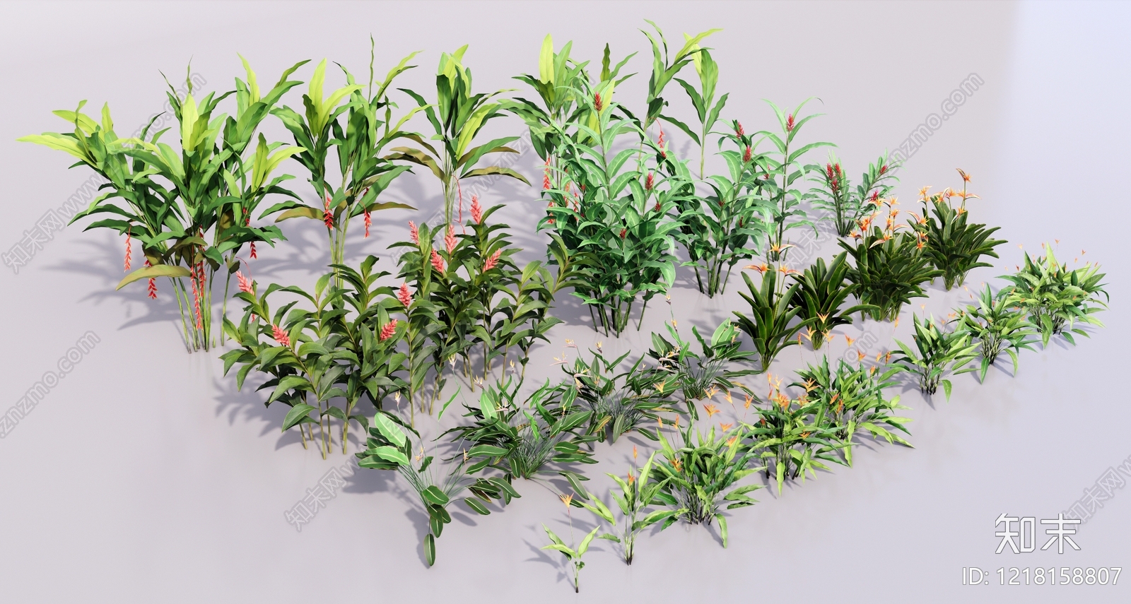 热带植物景观花草SU模型草图