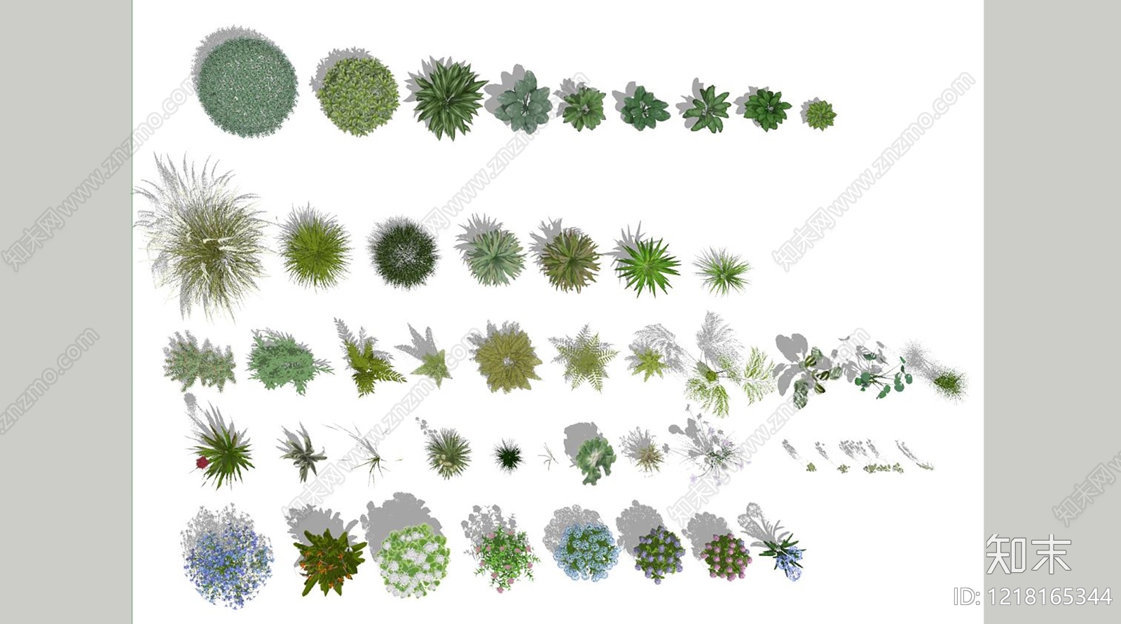 现代主义景观植物组合SU模型下载【ID:1218165344】