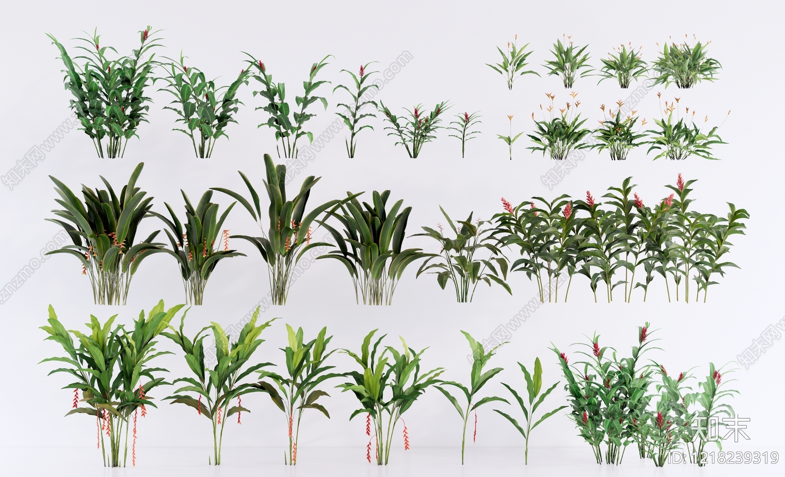 热带植物景观草本植物SU模型草图
