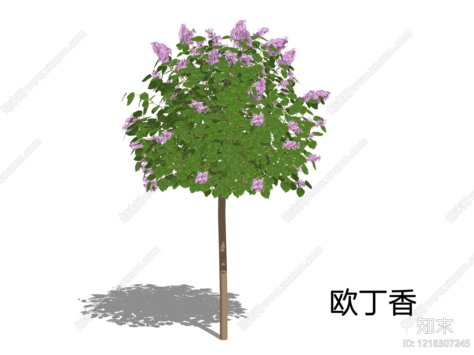 欧式景观乔木SU模型下载【ID:1218307245】