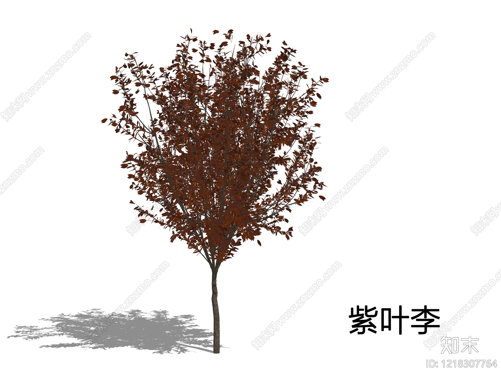 现代主义景观乔木SU模型下载【ID:1218307764】