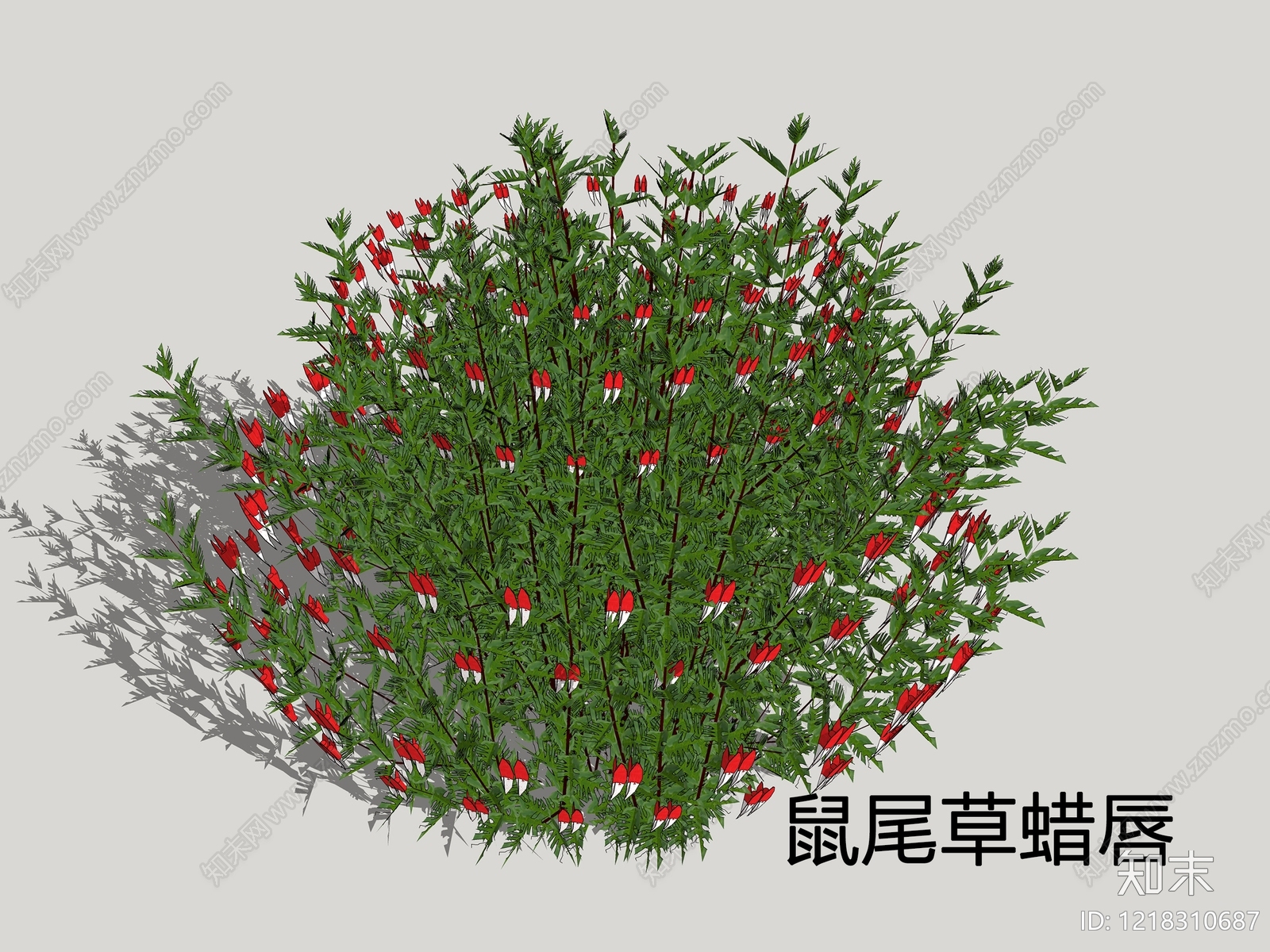 现代主义景观草本植物SU模型草图